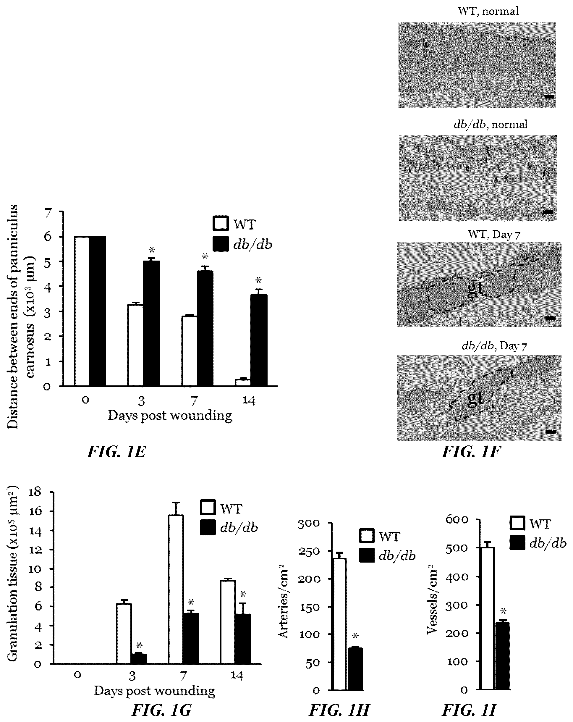 Patent US11814623 Figure 2 – Methods of treating a wound using epigenetic regulation