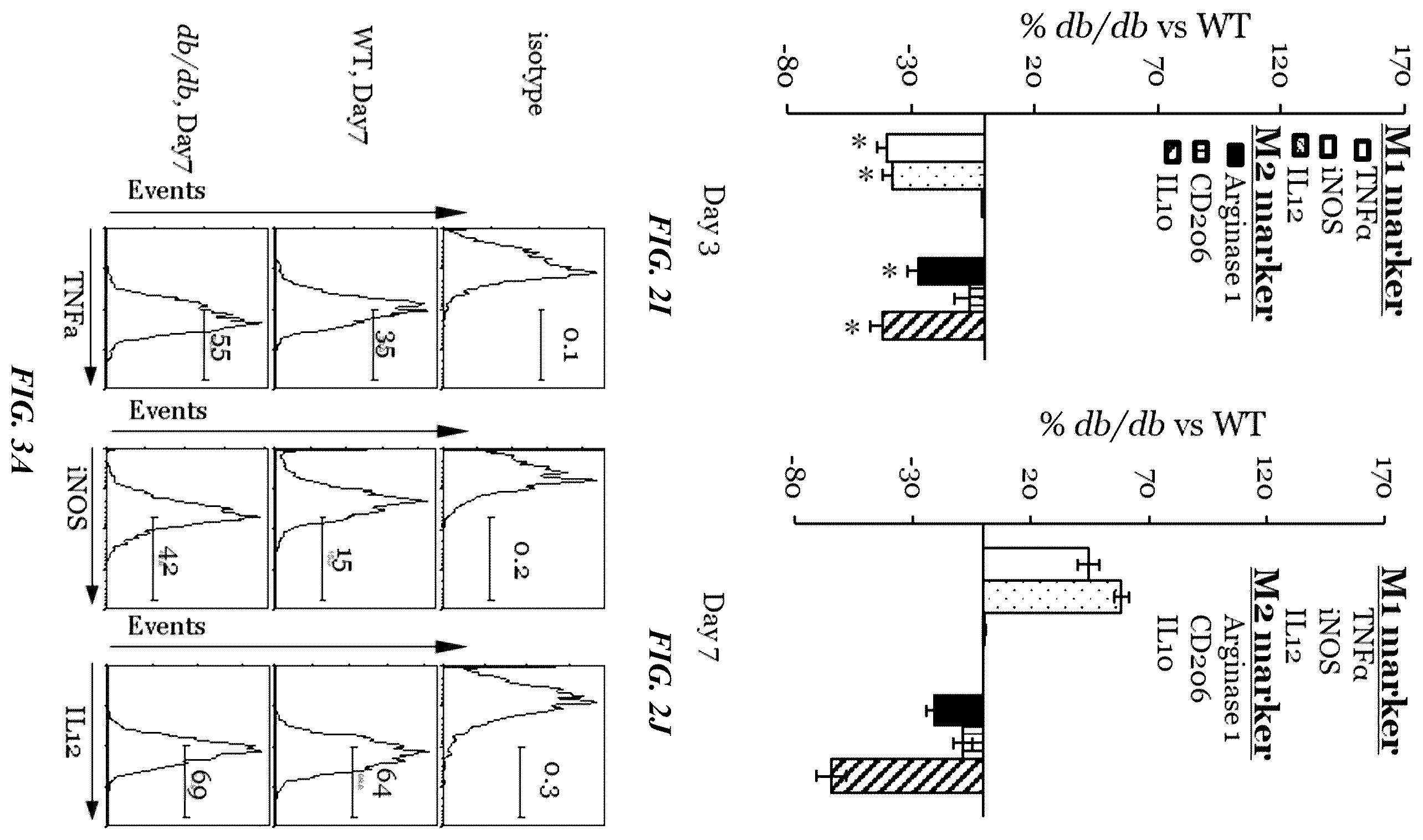 Patent US11814623 Figure 6 – Methods of treating a wound using epigenetic regulation