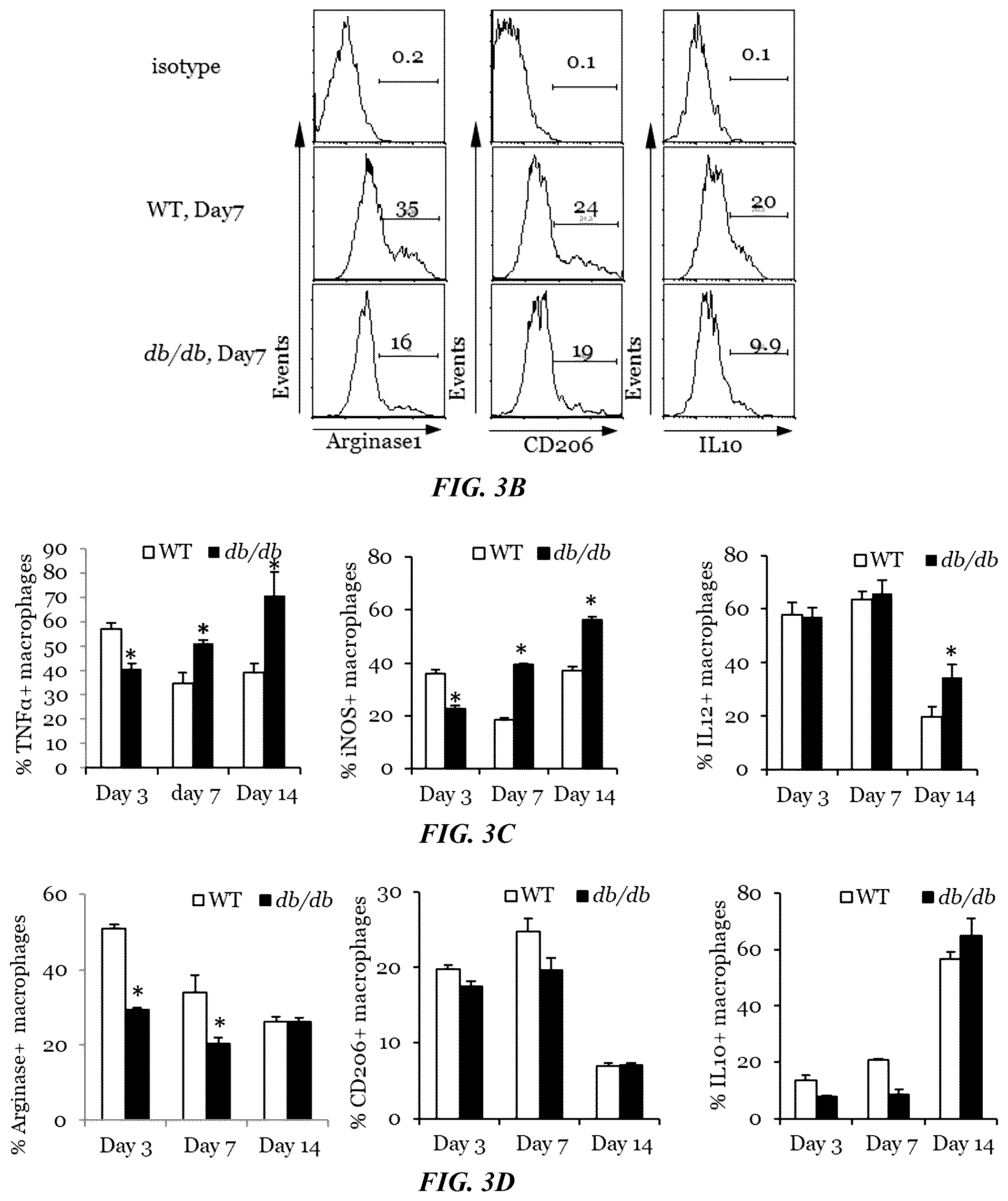 Patent US11814623 Figure 7 – Methods of treating a wound using epigenetic regulation