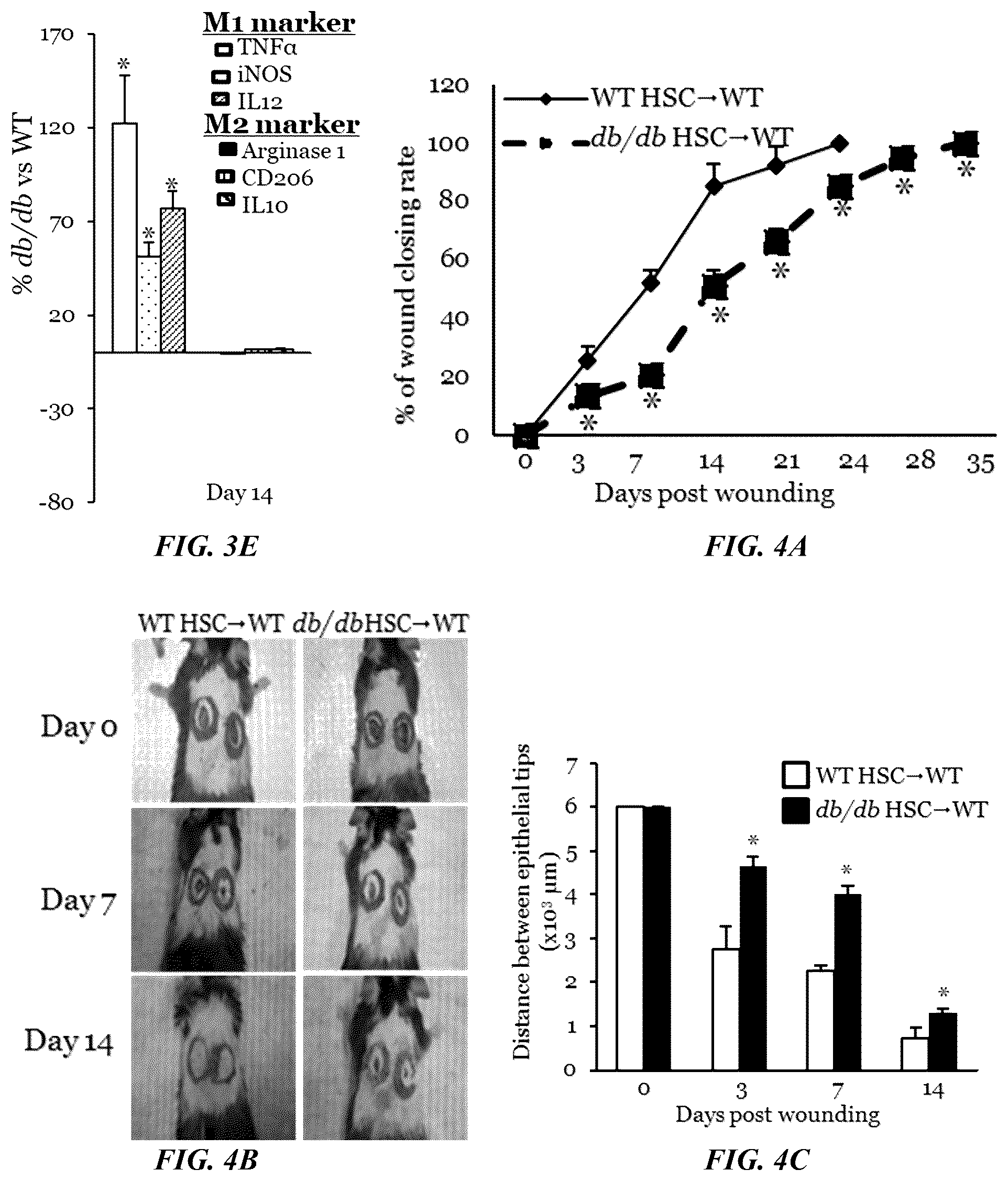 Patent US11814623 Figure 8 – Methods of treating a wound using epigenetic regulation