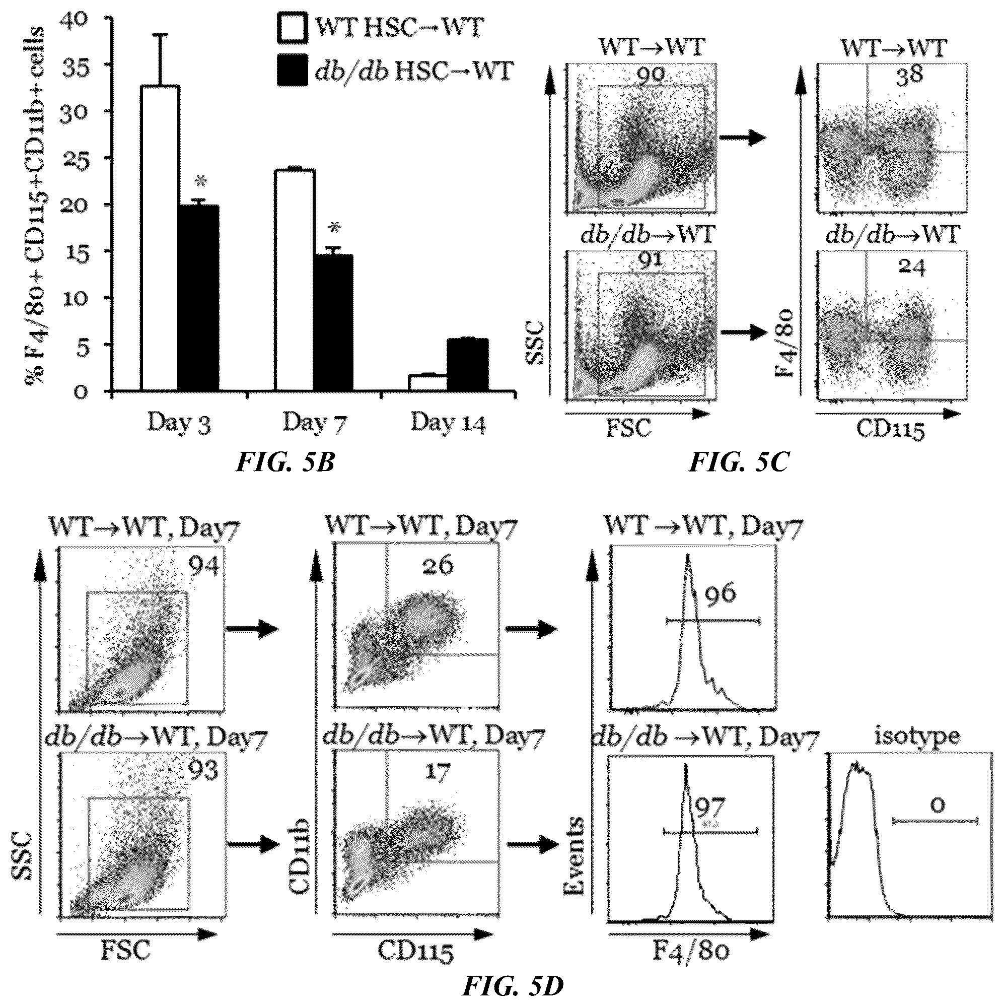 Patent US11814623 Figure 11 – Methods of treating a wound using epigenetic regulation