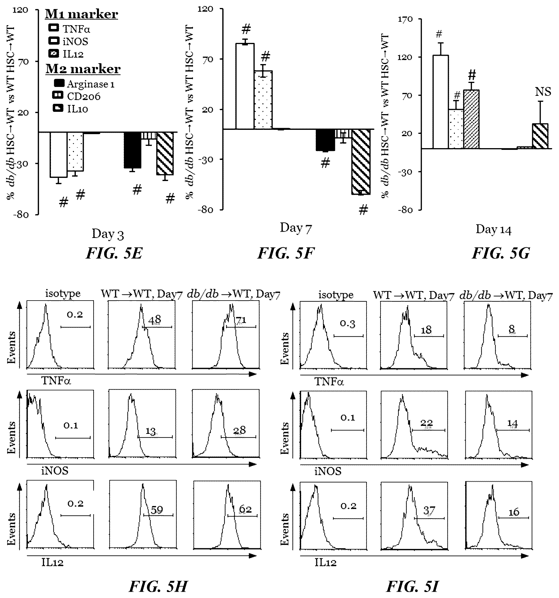 Patent US11814623 Figure 12 – Methods of treating a wound using epigenetic regulation