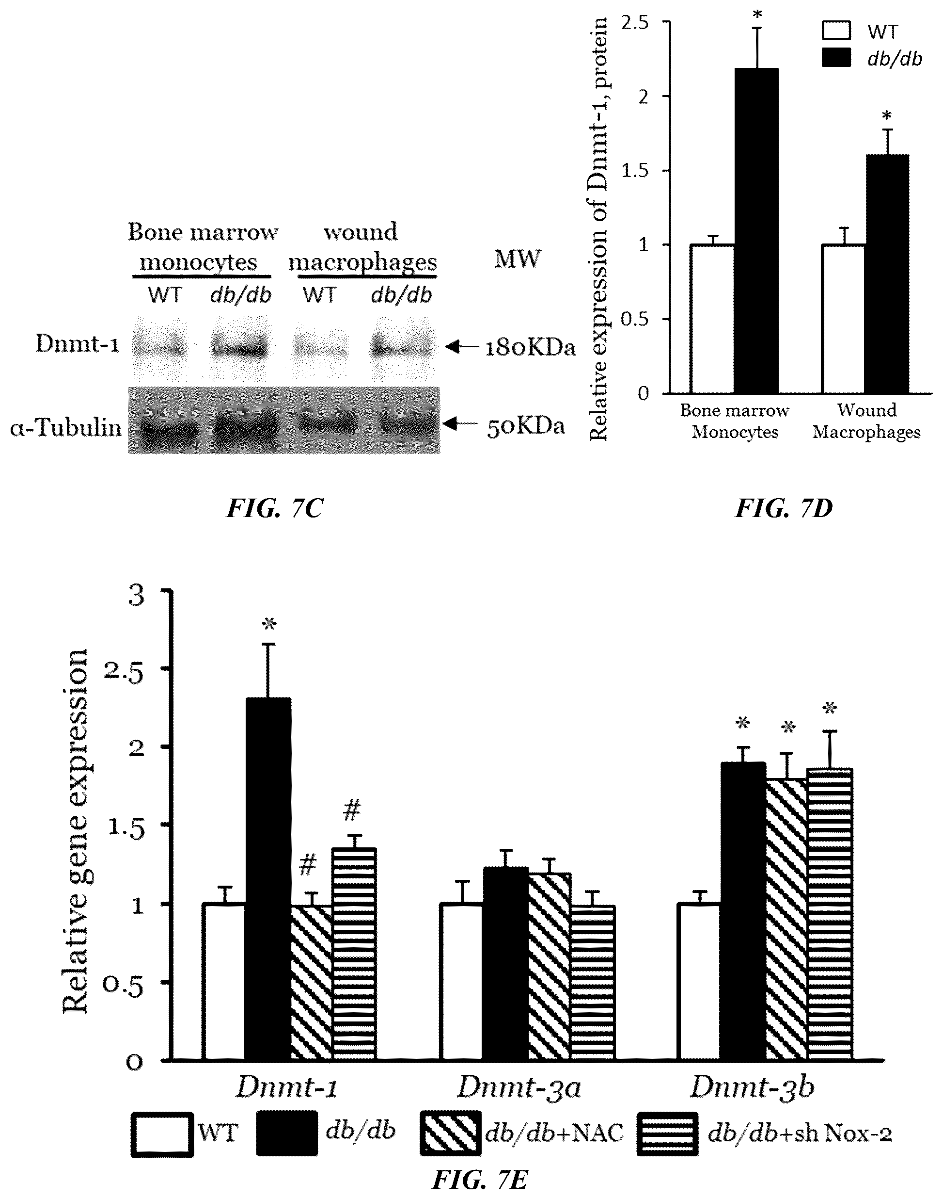 Patent US11814623 Figure 16 – Methods of treating a wound using epigenetic regulation