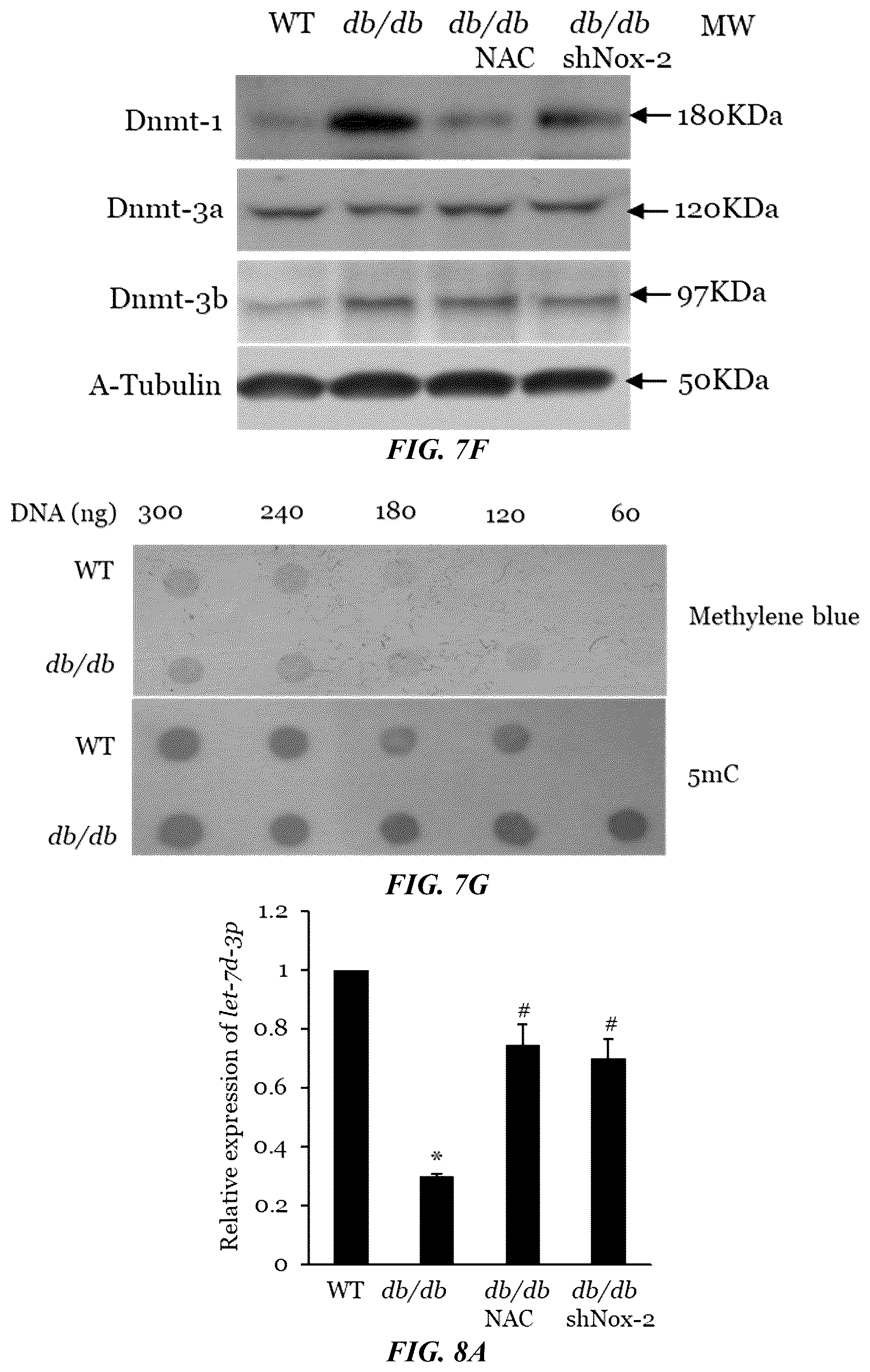 Patent US11814623 Figure 17 – Methods of treating a wound using epigenetic regulation