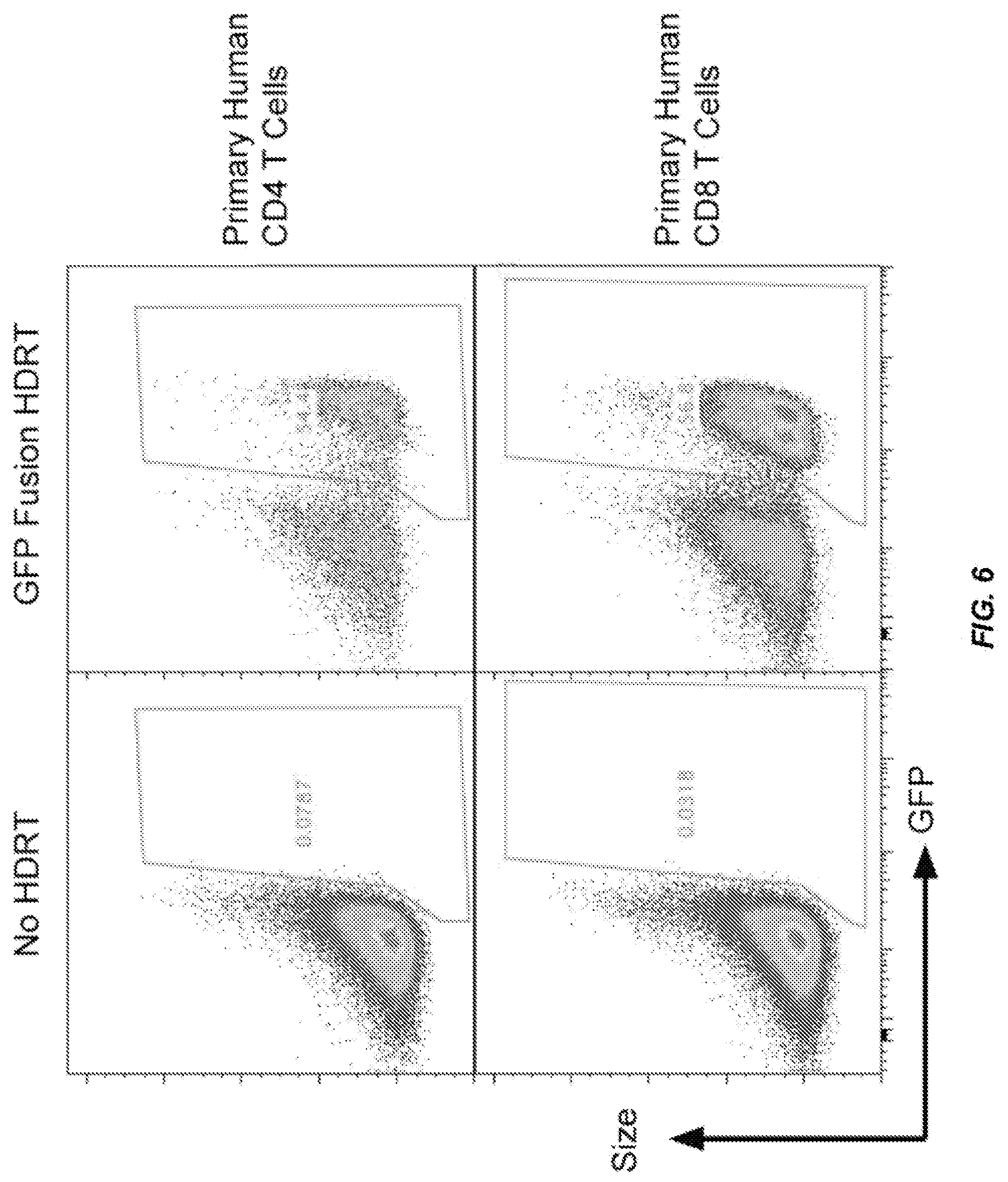 Patent US11814624 Figure 6 – Targeted non-viral DNA insertions