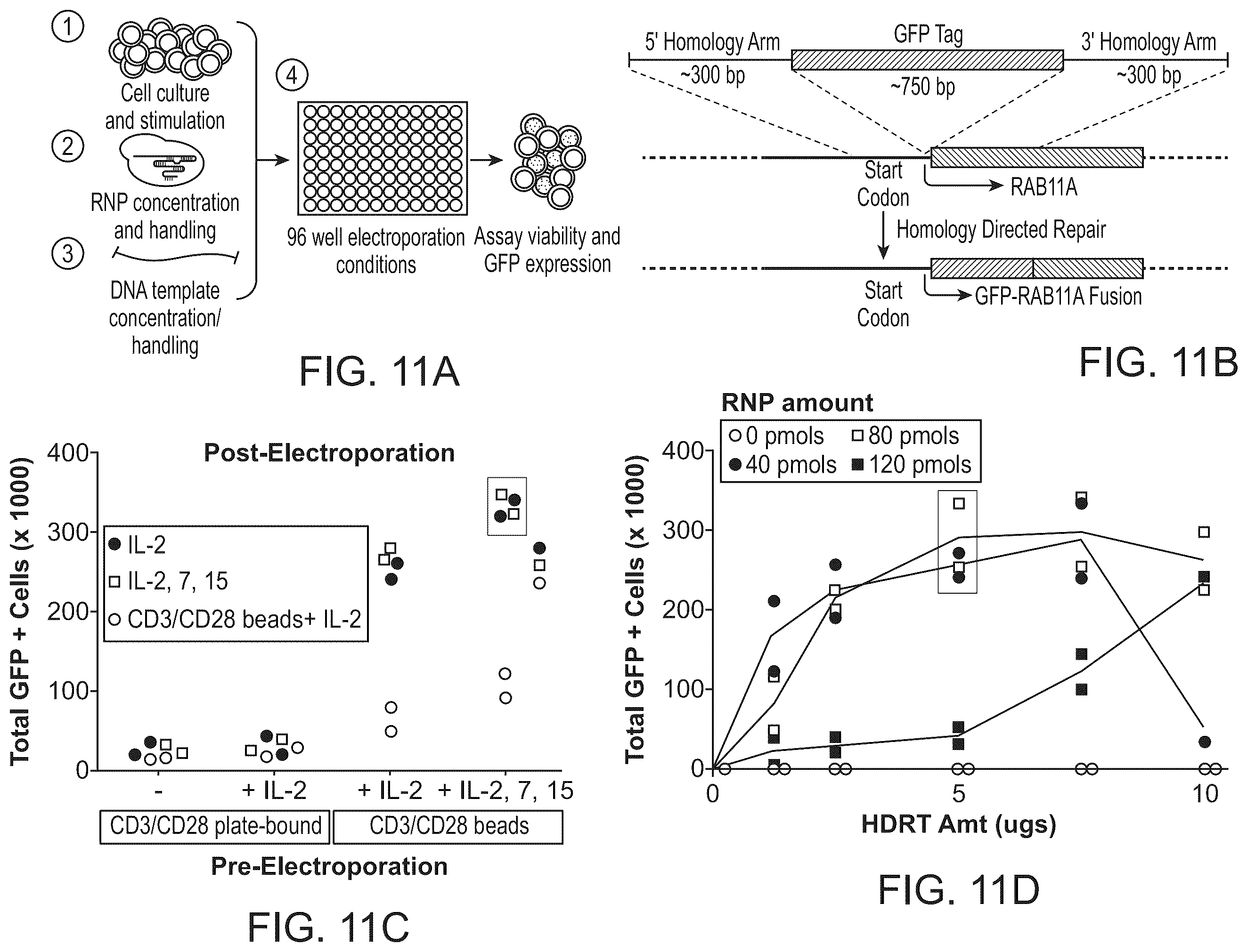 Patent US11814624 Figure 12 – Targeted non-viral DNA insertions
