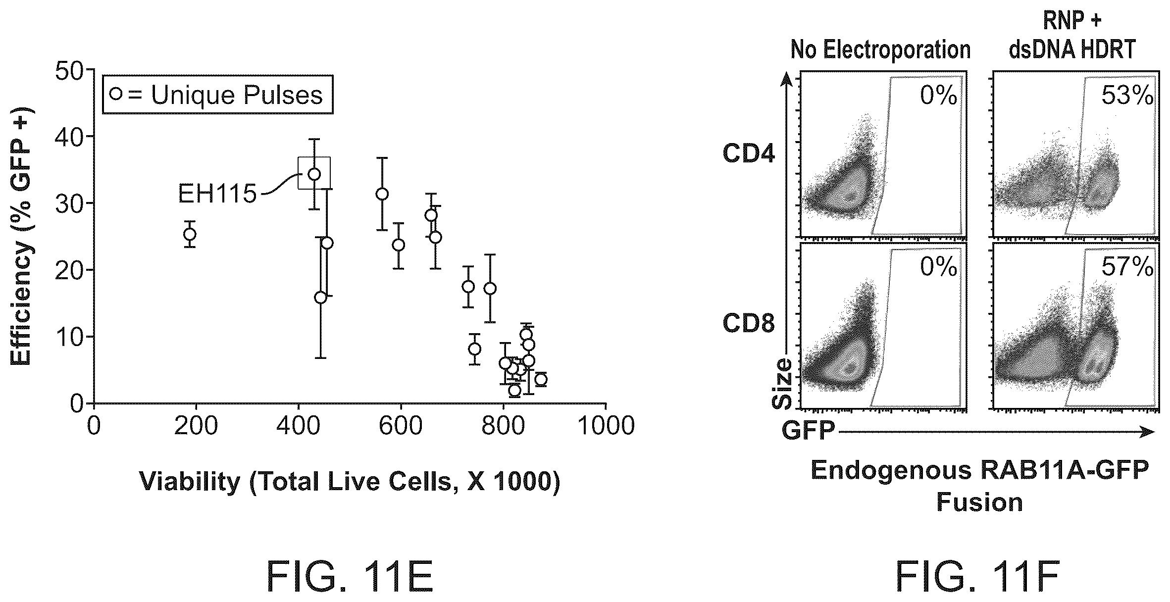 Patent US11814624 Figure 13 – Targeted non-viral DNA insertions