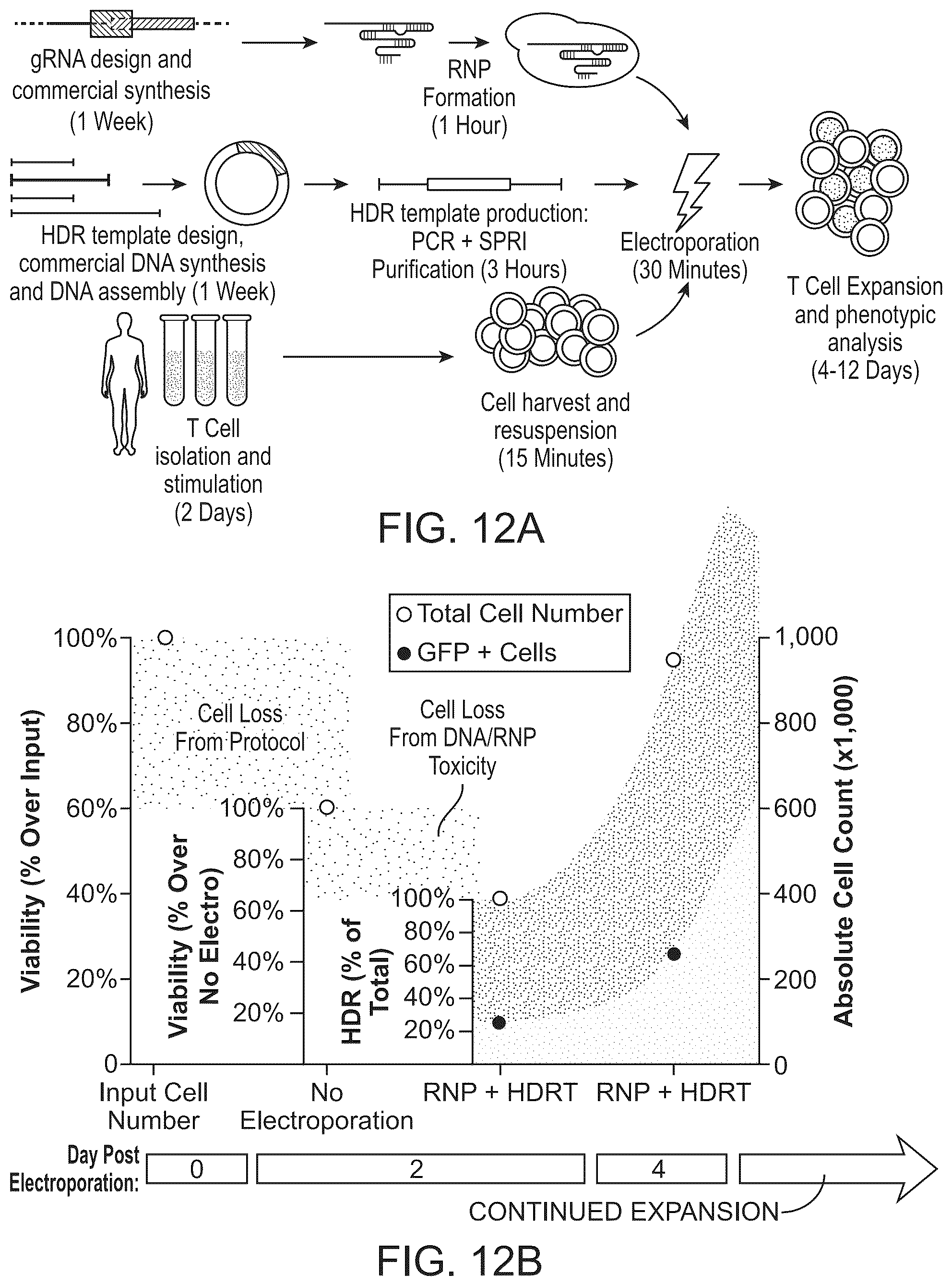 Patent US11814624 Figure 14 – Targeted non-viral DNA insertions