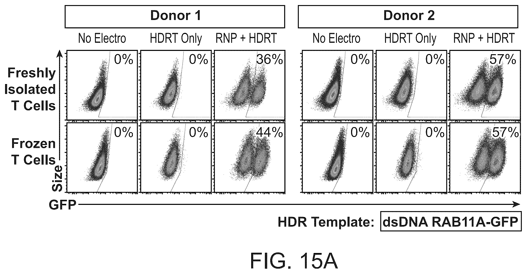 Patent US11814624 Figure 19 – Targeted non-viral DNA insertions