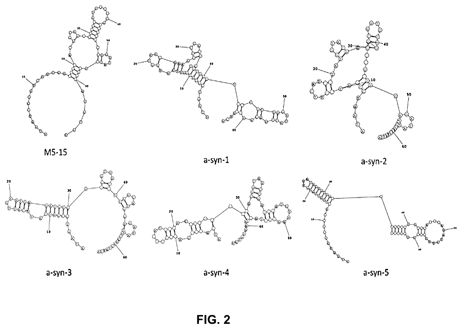 Patent US11814625 Figure 2 – Aptamers as a therapeutic tool to prevent protein aggregation in neurodegenerative disease