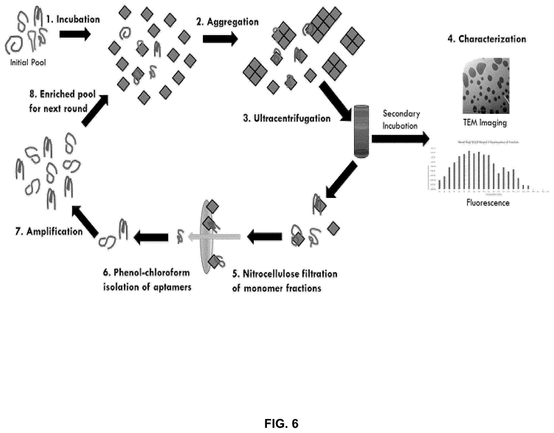 Patent US11814625 Figure 6 – Aptamers as a therapeutic tool to prevent protein aggregation in neurodegenerative disease