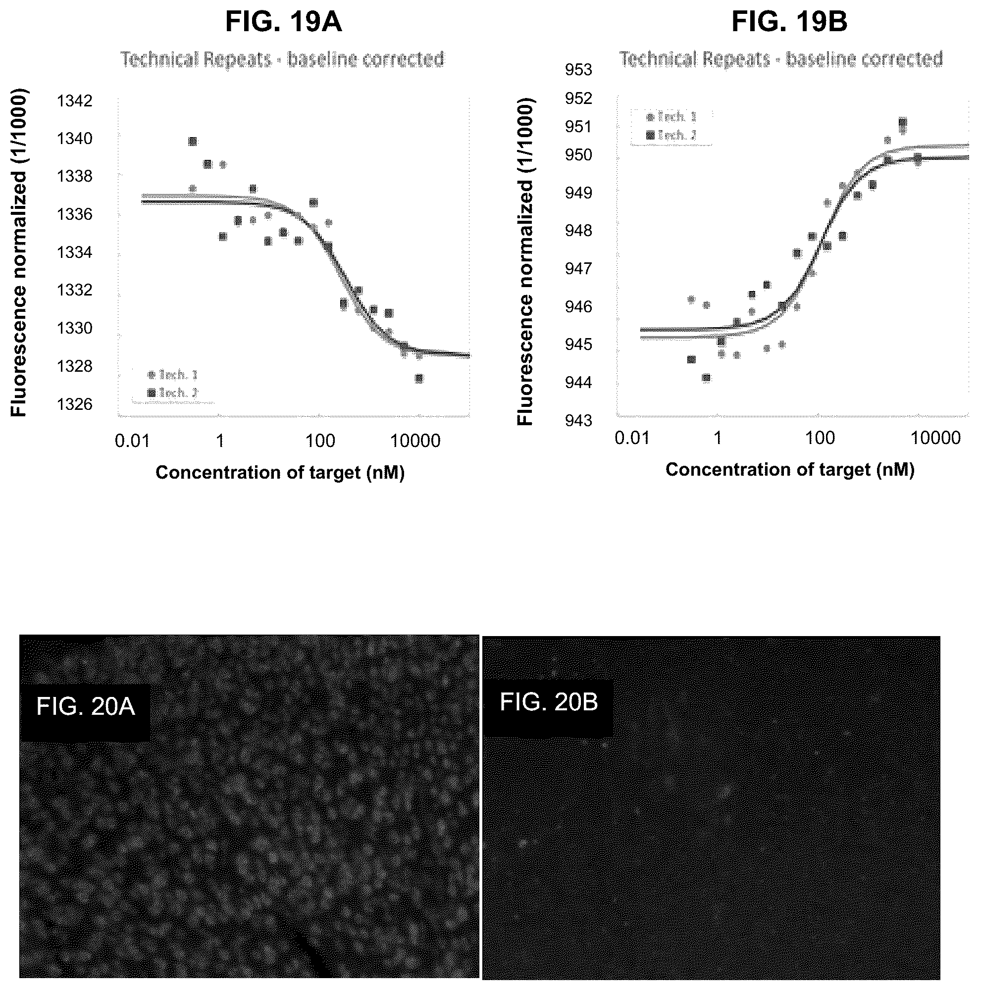 Patent US11814625 Figure 17 – Aptamers as a therapeutic tool to prevent protein aggregation in neurodegenerative disease