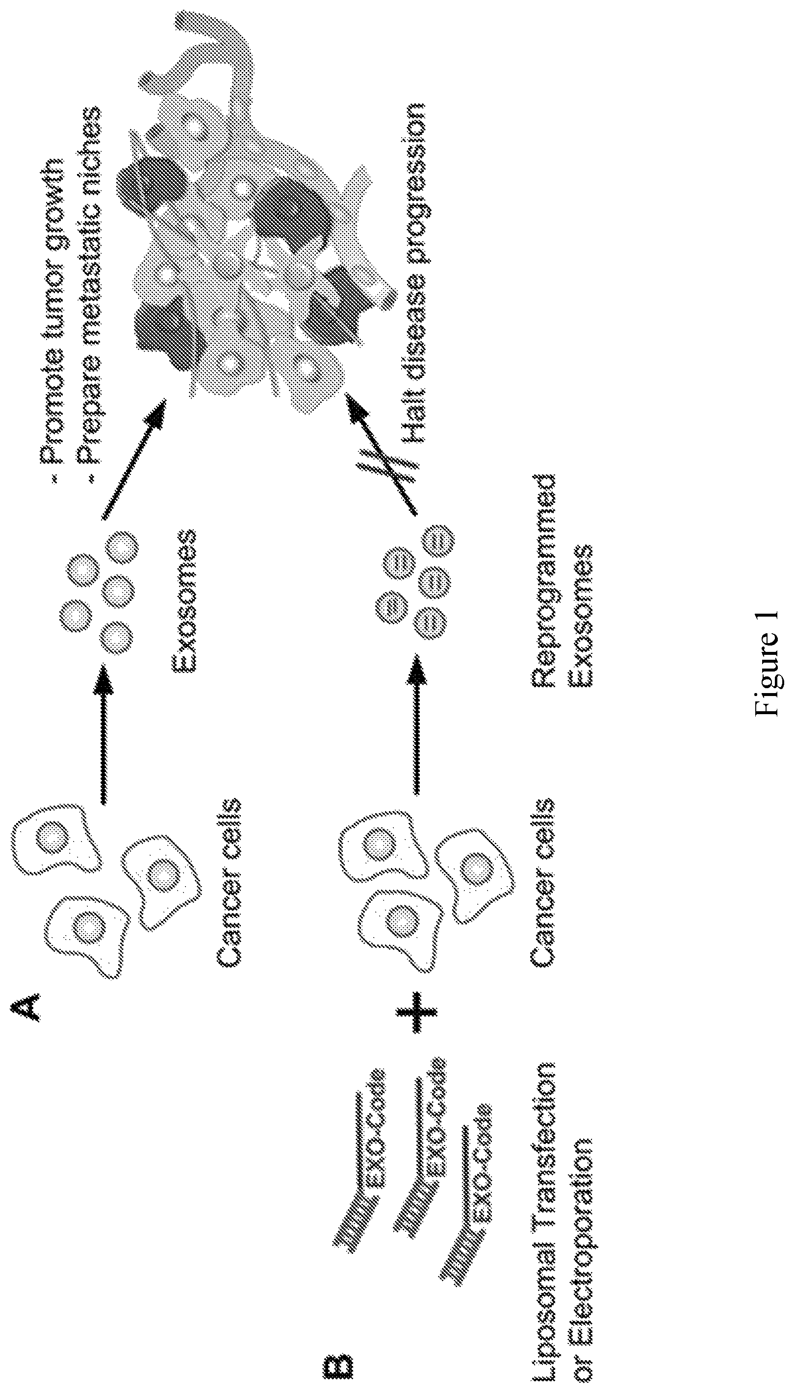 Patent US11814626 Figure 1 – Compositions and methods for loading extracellular vesicles with chemical and biological agents/molecules