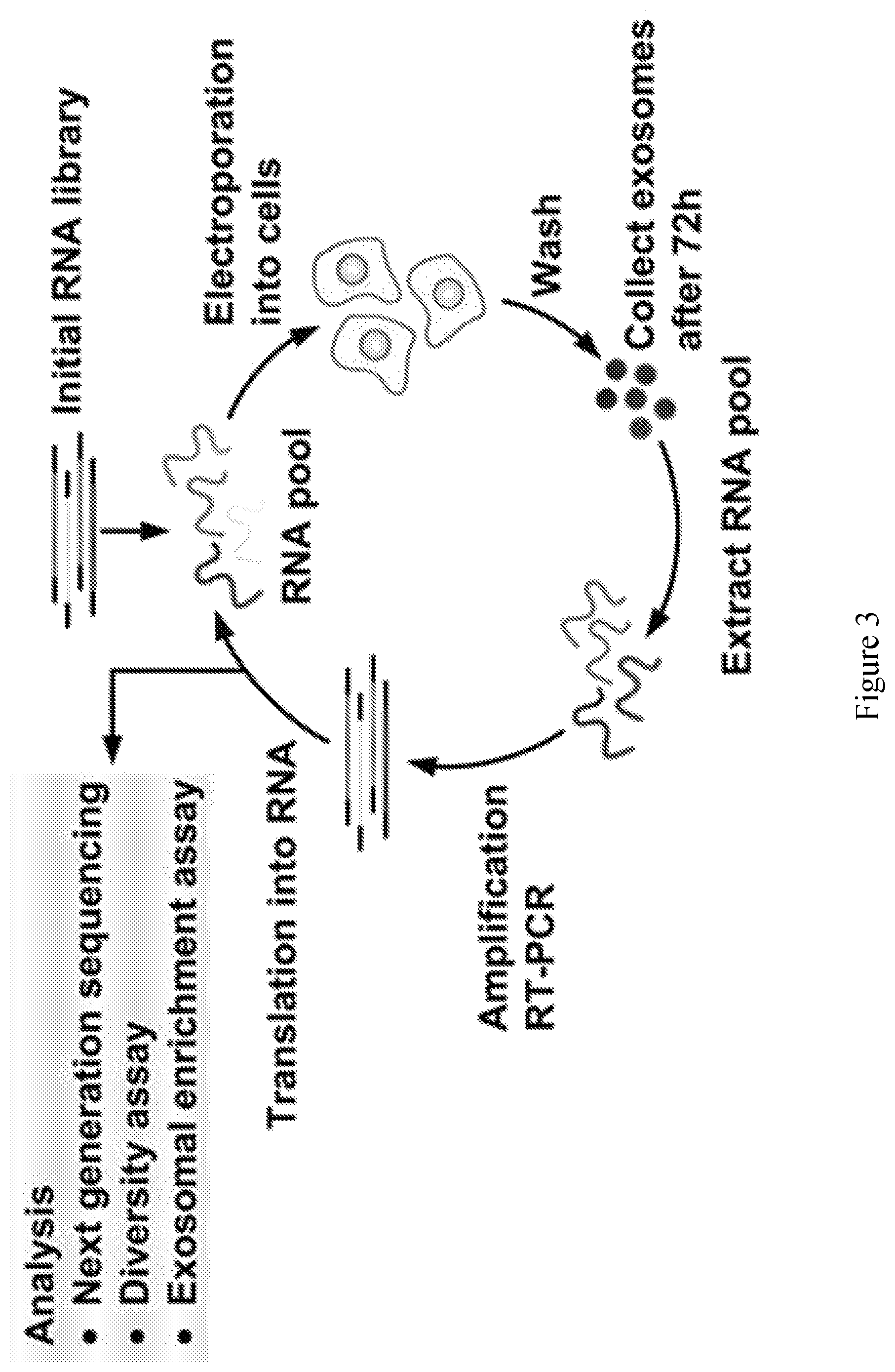 Patent US11814626 Figure 3 – Compositions and methods for loading extracellular vesicles with chemical and biological agents/molecules