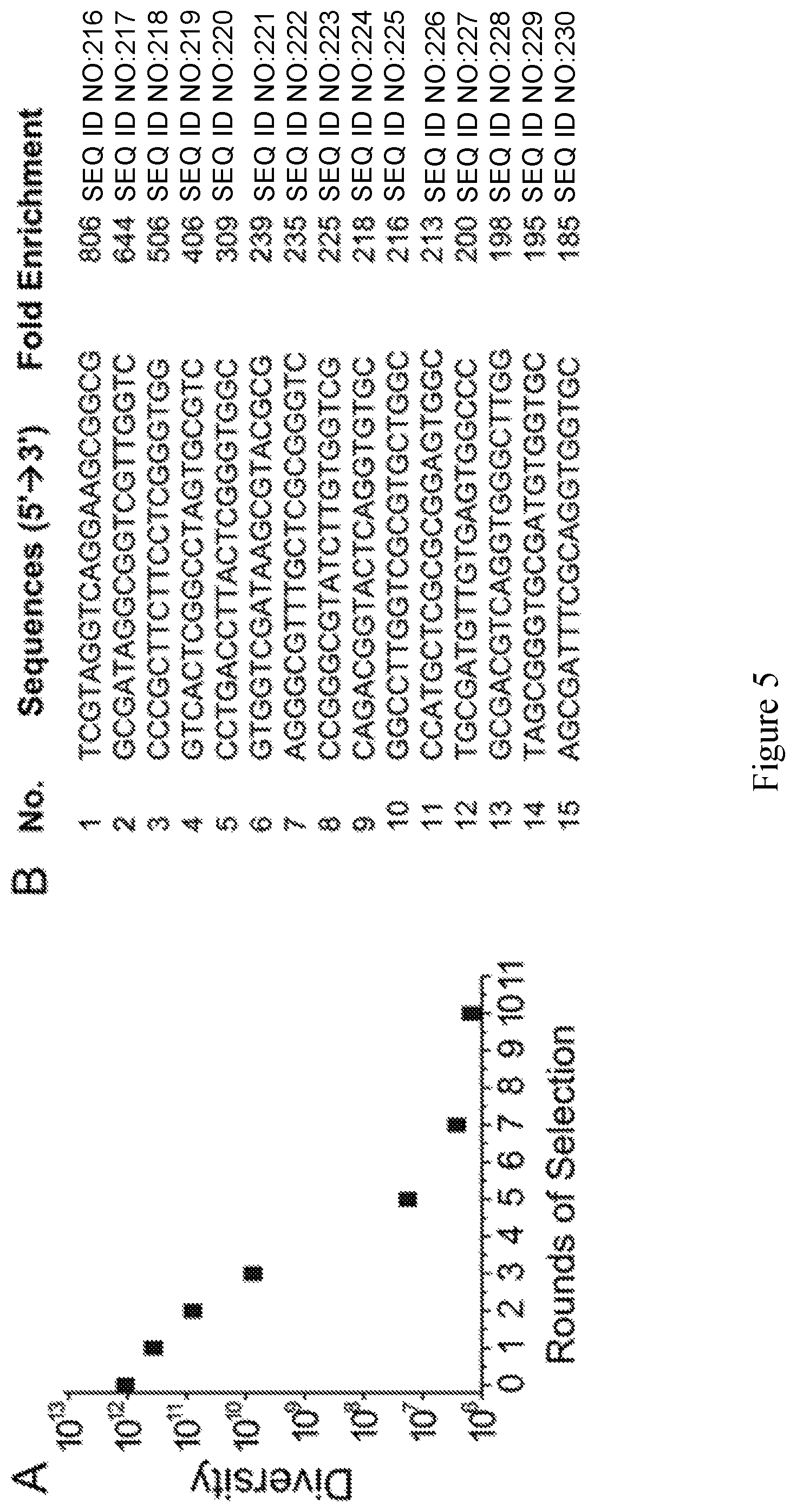 Patent US11814626 Figure 5 – Compositions and methods for loading extracellular vesicles with chemical and biological agents/molecules