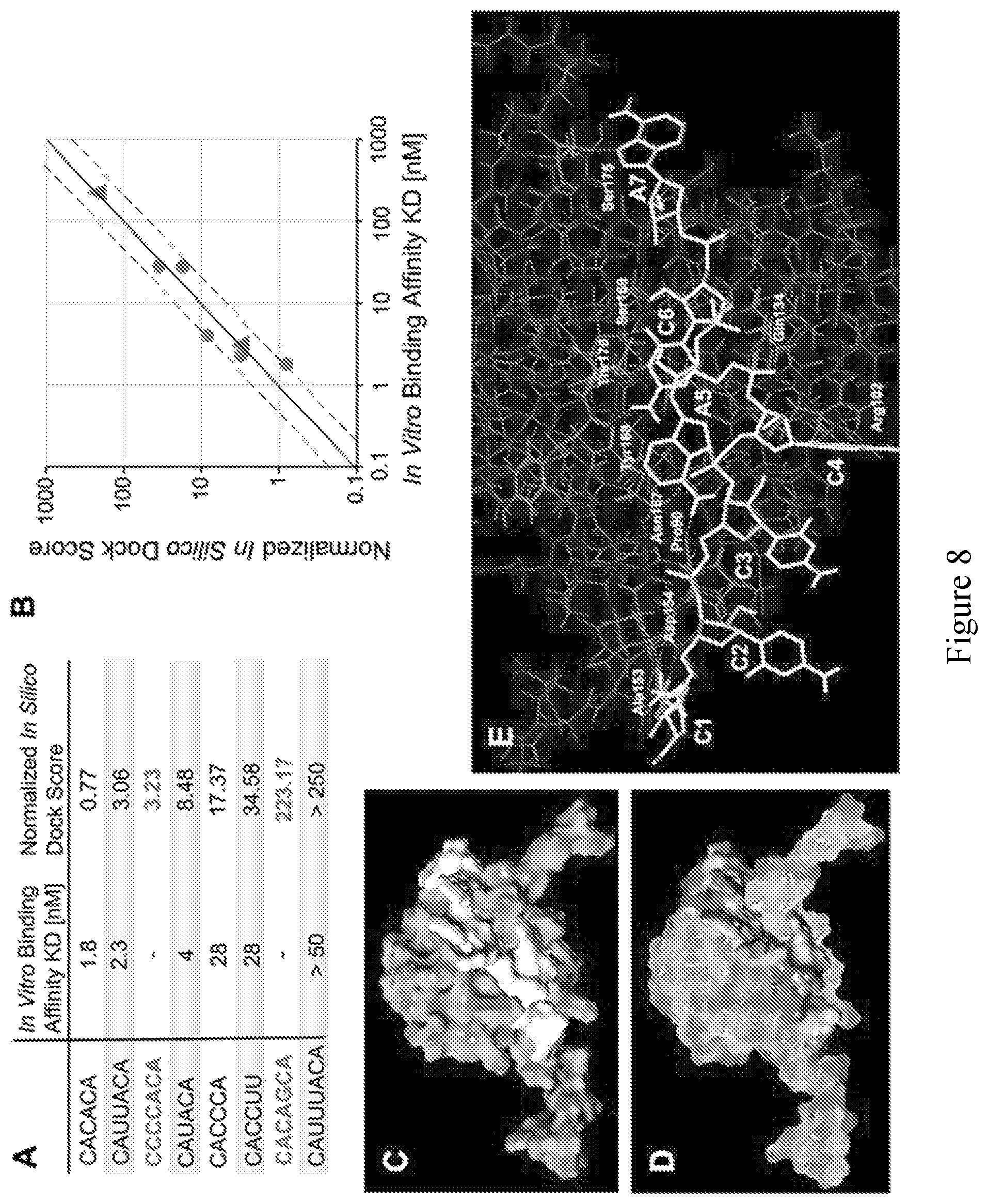 Patent US11814626 Figure 8 – Compositions and methods for loading extracellular vesicles with chemical and biological agents/molecules