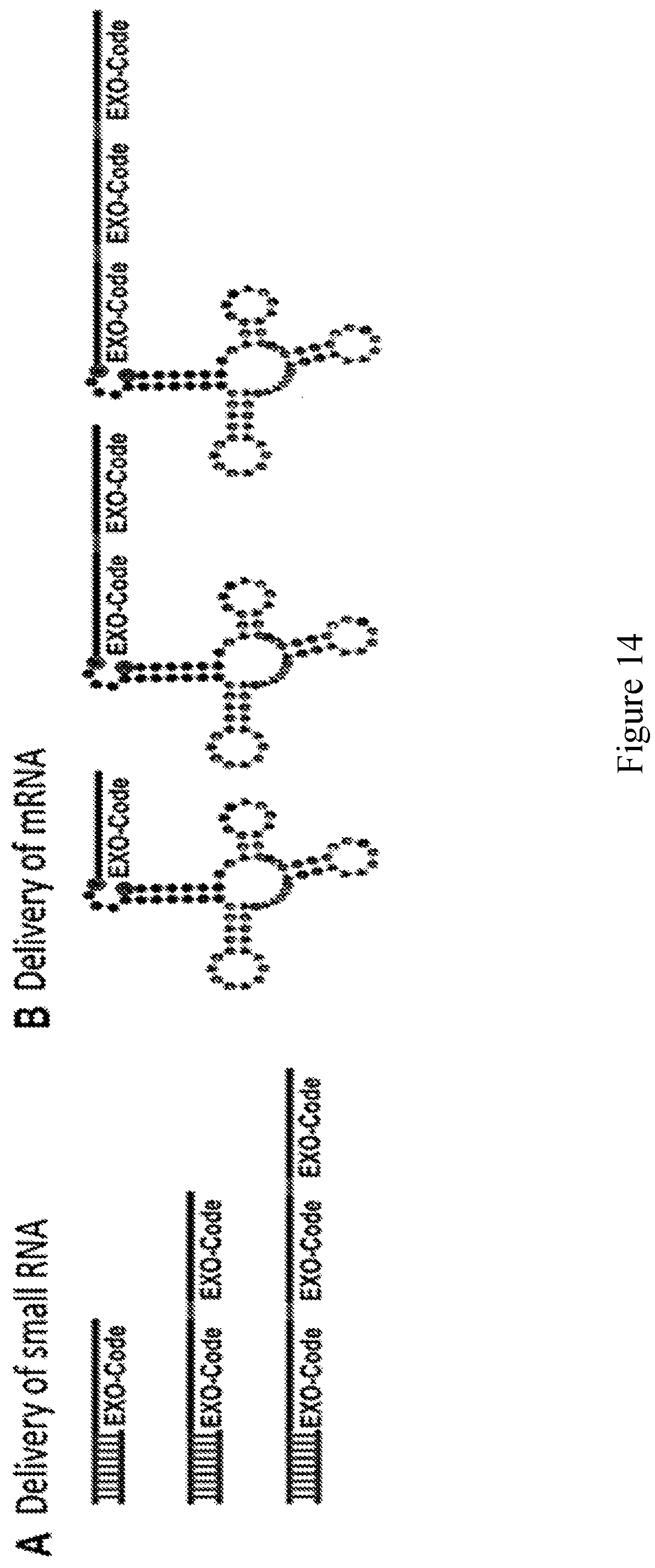 Patent US11814626 Figure 18 – Compositions and methods for loading extracellular vesicles with chemical and biological agents/molecules