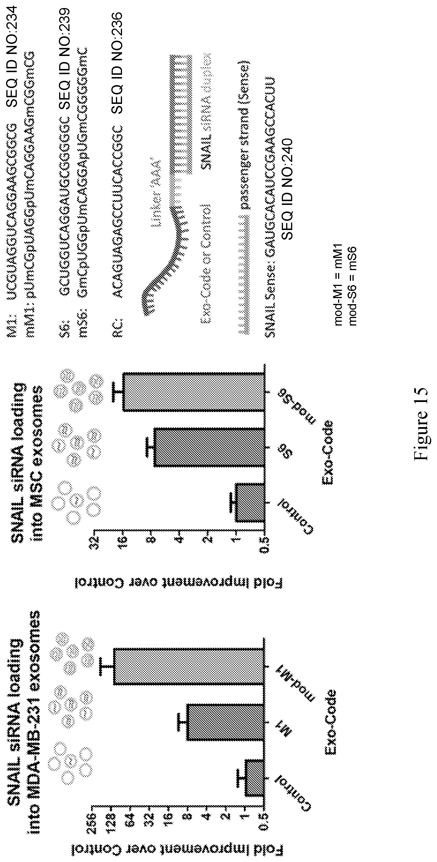 Patent US11814626 Figure 19 – Compositions and methods for loading extracellular vesicles with chemical and biological agents/molecules