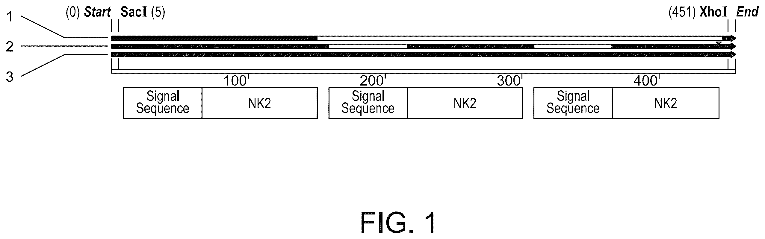 Patent US11814628 Figure 1 – Composition and method of an orally administered antimicrobial peptide vectored in a bacterial expression vehicle