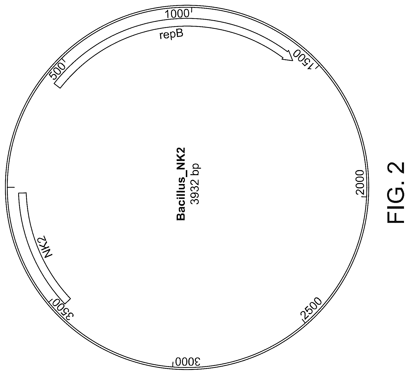 Patent US11814628 Figure 2 – Composition and method of an orally administered antimicrobial peptide vectored in a bacterial expression vehicle