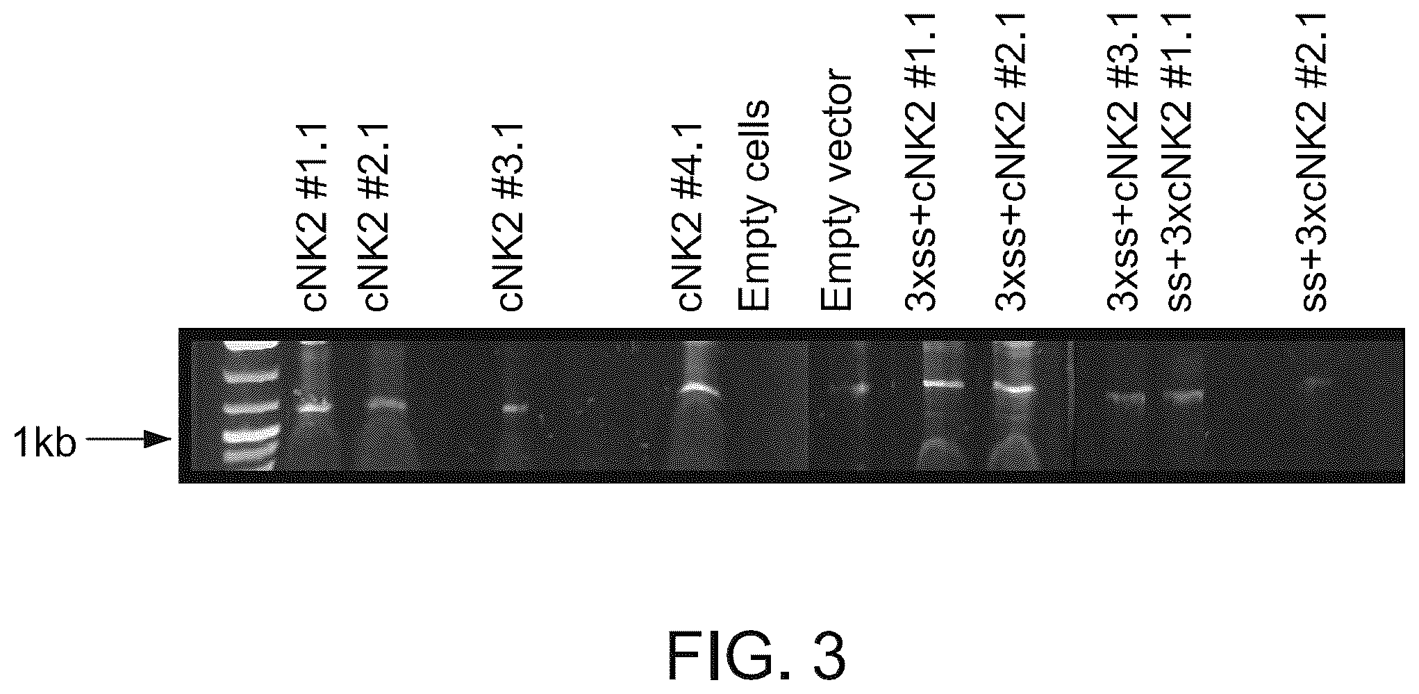 Patent US11814628 Figure 3 – Composition and method of an orally administered antimicrobial peptide vectored in a bacterial expression vehicle