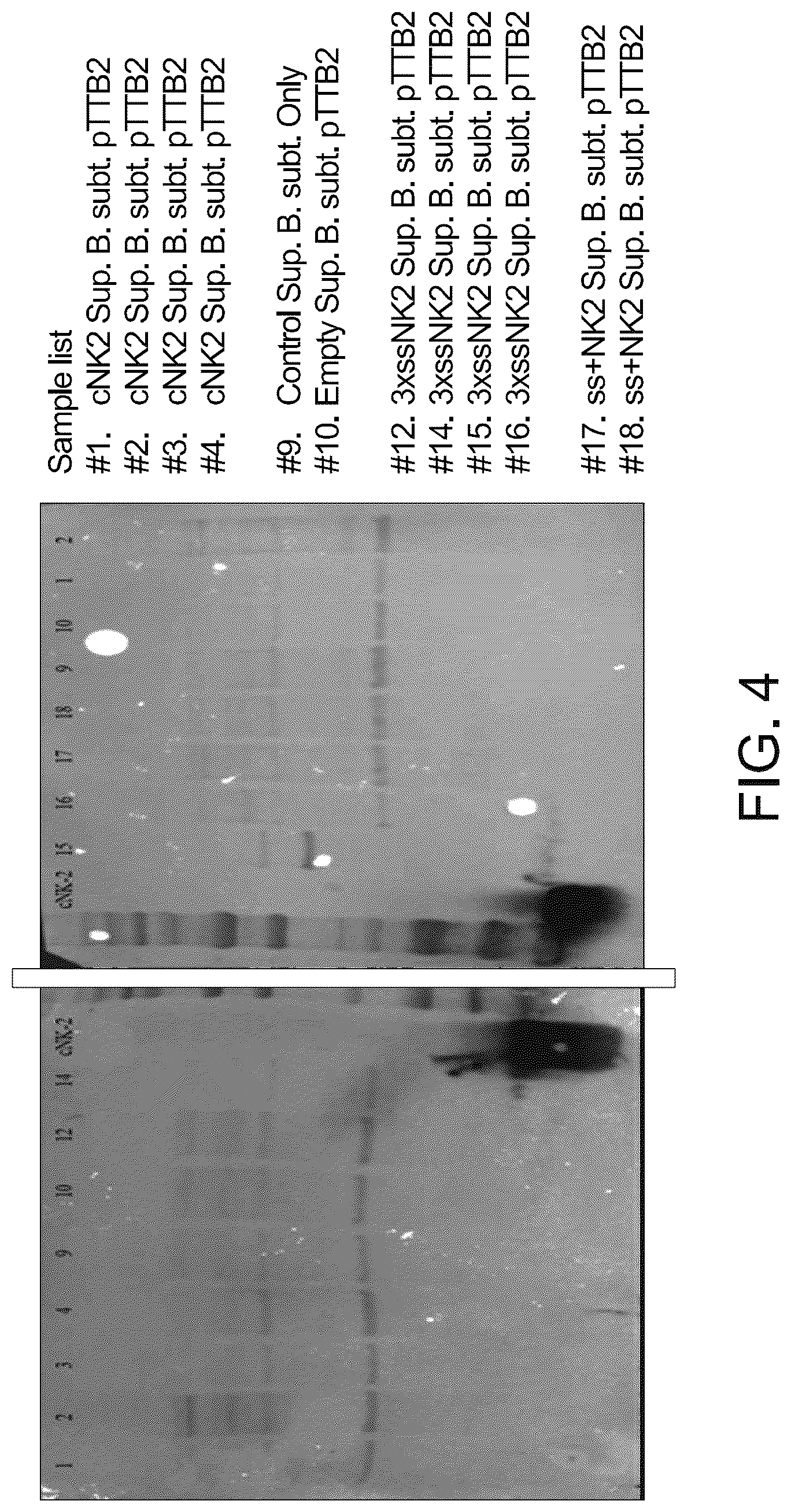 Patent US11814628 Figure 4 – Composition and method of an orally administered antimicrobial peptide vectored in a bacterial expression vehicle