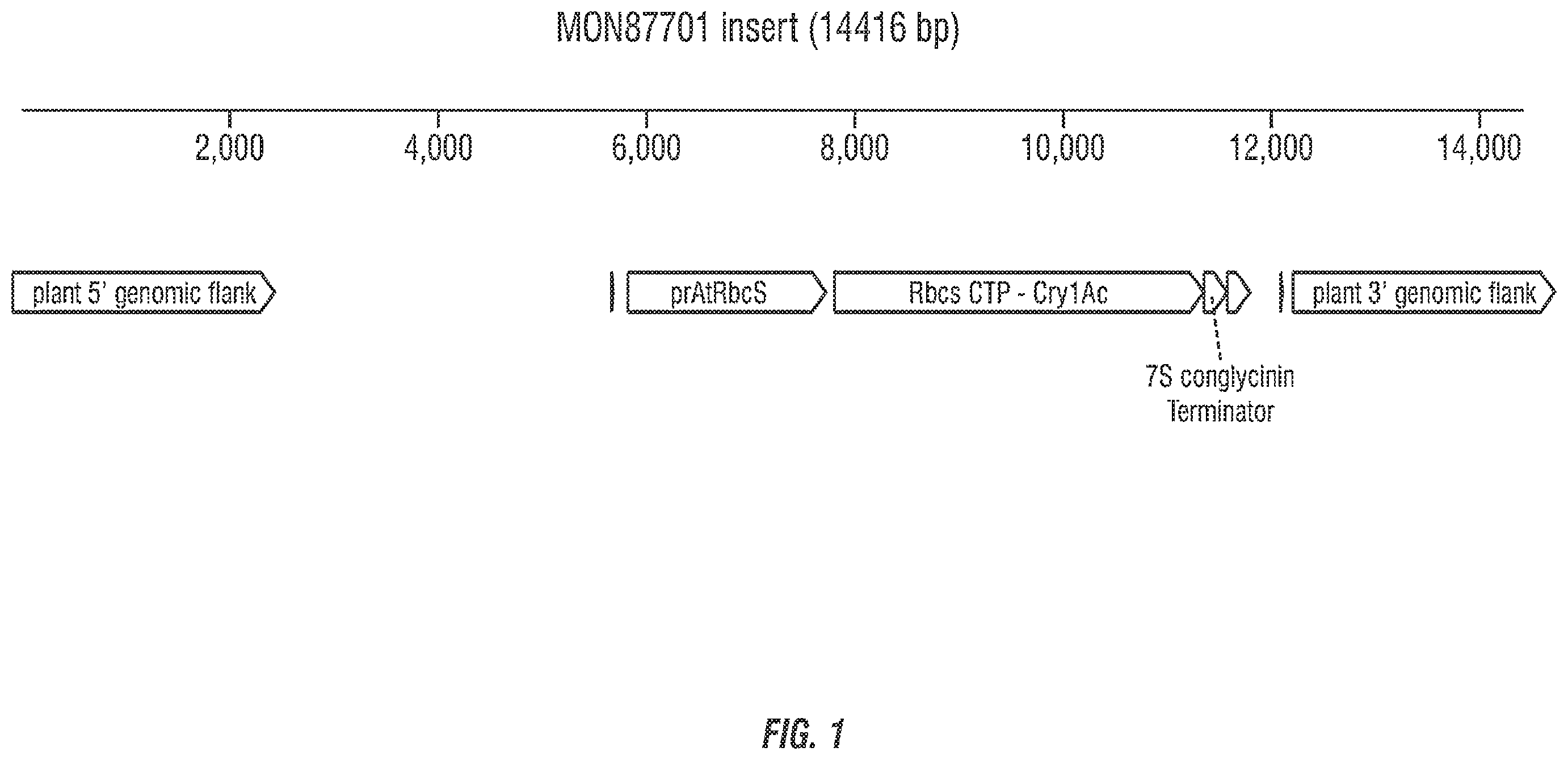 Patent US11814632 Figure 1 – Modified excisable MON87701 soybean transgenic insect resistance locus