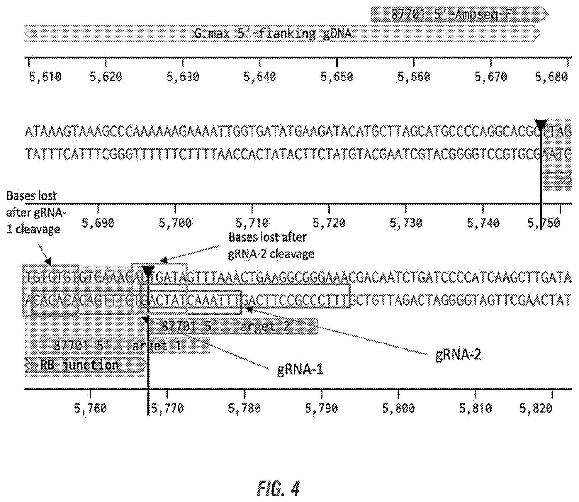 Patent US11814632 Figure 6 – Modified excisable MON87701 soybean transgenic insect resistance locus