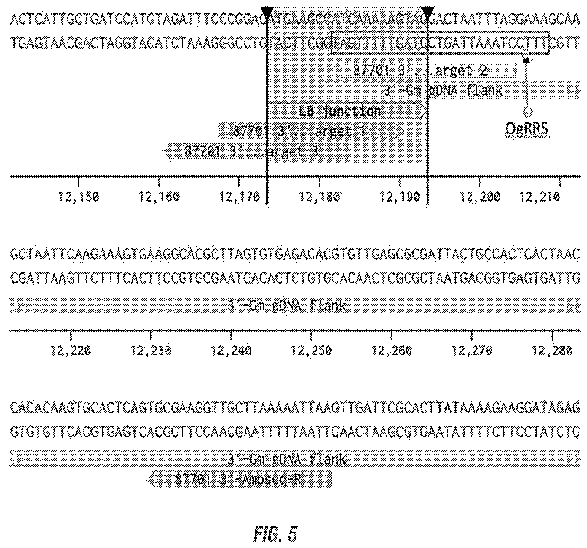 Patent US11814632 Figure 7 – Modified excisable MON87701 soybean transgenic insect resistance locus