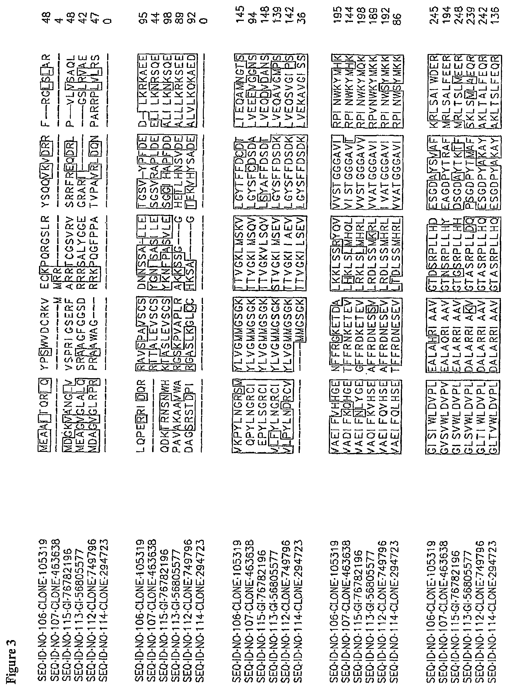 Patent US11814636 Figure 6 – Nucleotide sequences and corresponding polypeptides conferring modulated growth rate and biomass in plants grown in saline conditions
