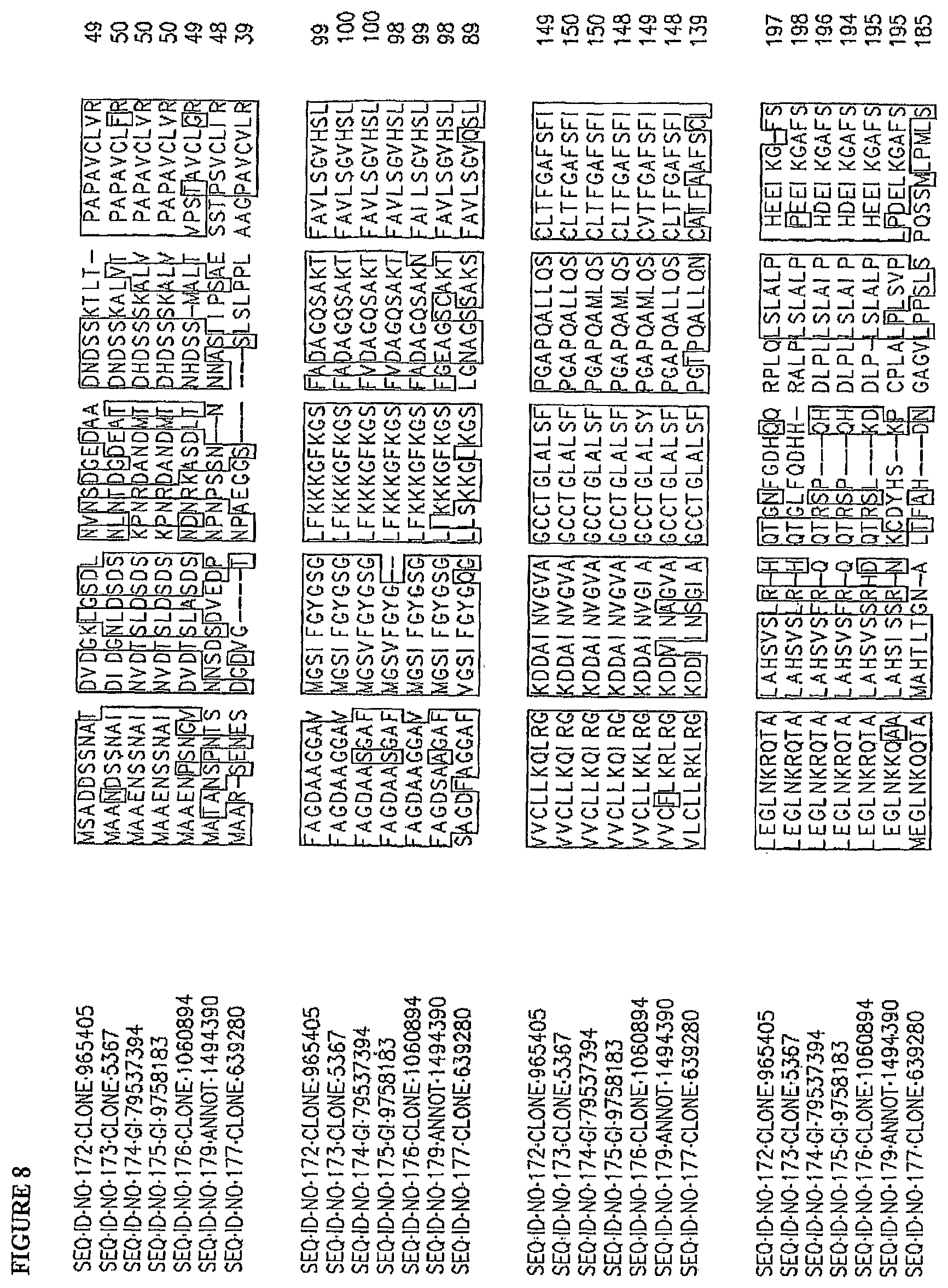 Patent US11814636 Figure 13 – Nucleotide sequences and corresponding polypeptides conferring modulated growth rate and biomass in plants grown in saline conditions