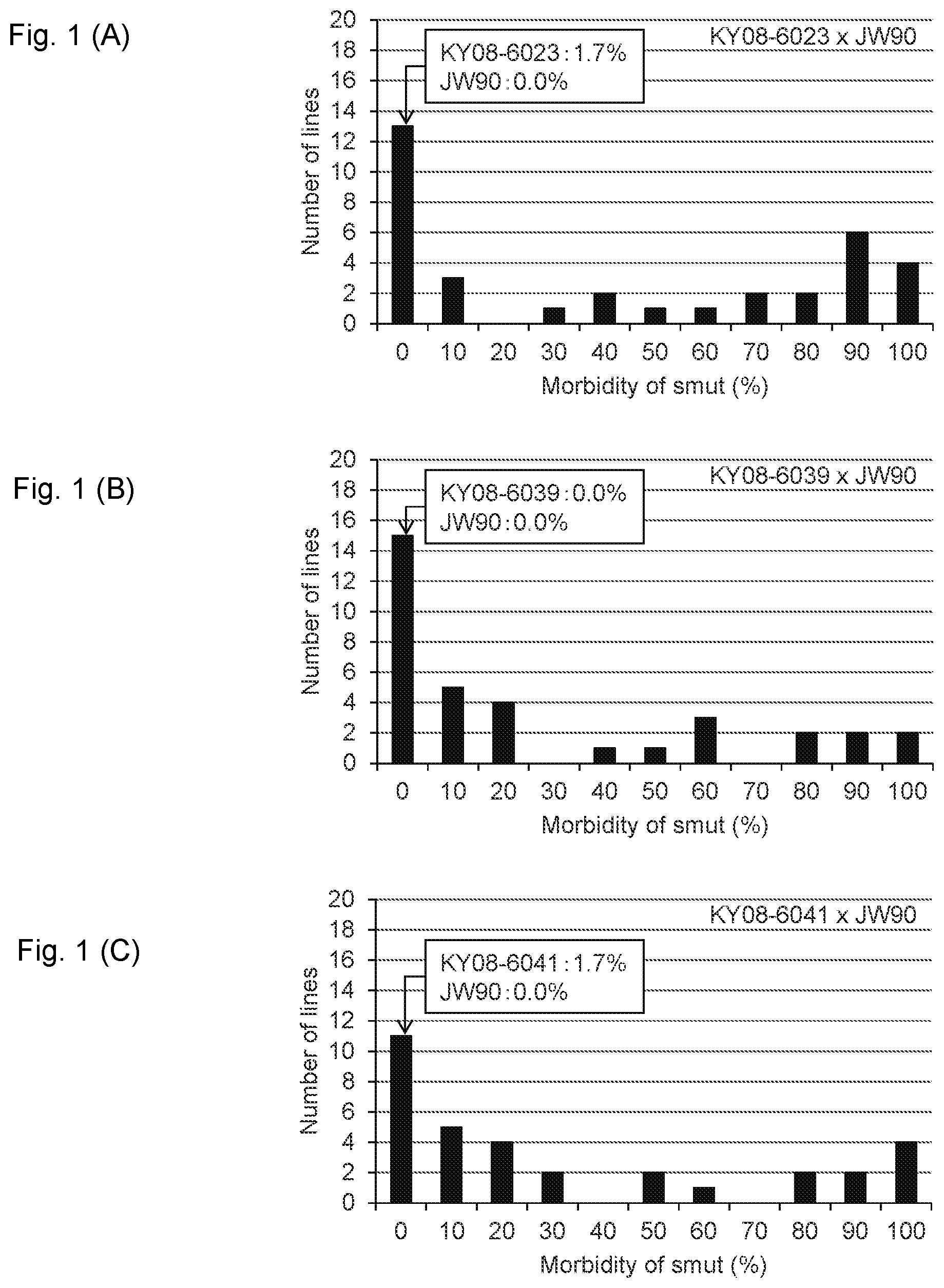 Patent US11814638 — Marker associated with smut resistance in plant belonging to genus Saccharum and use thereof — Figure 1