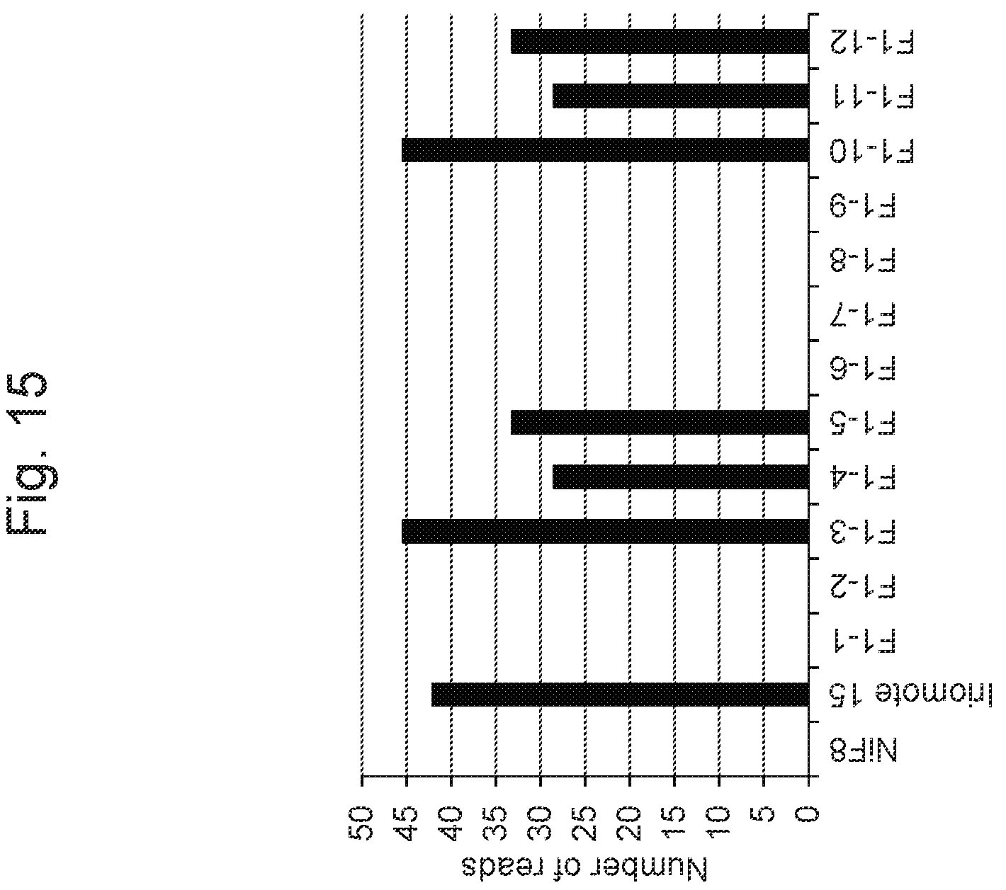 Patent US11814638 Figure 15 – Marker associated with smut resistance in plant belonging to genus Saccharum and use thereof