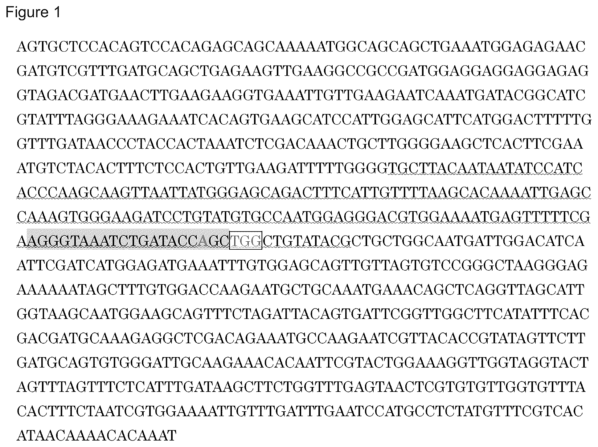 Patent US11814639 Figure 1 – Virus-resistant plant and method for producing the same
