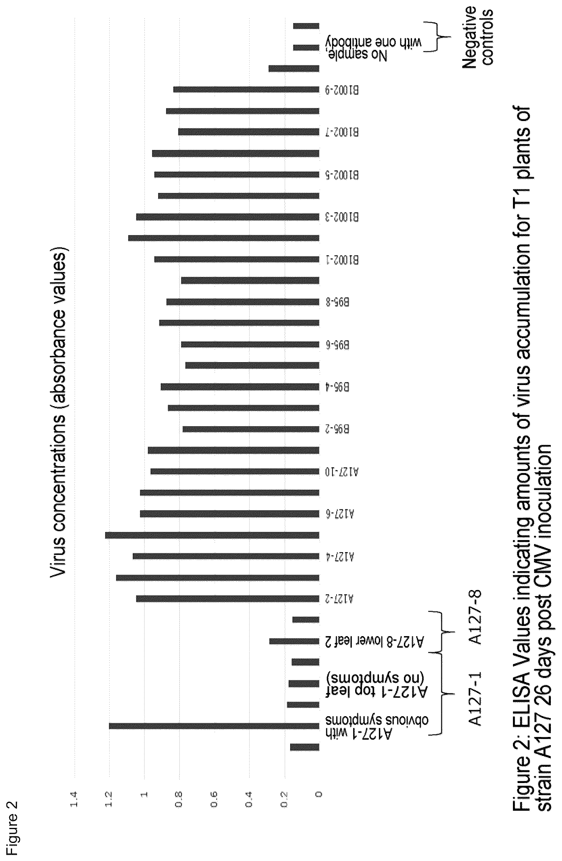 Patent US11814639 Figure 2 – Virus-resistant plant and method for producing the same