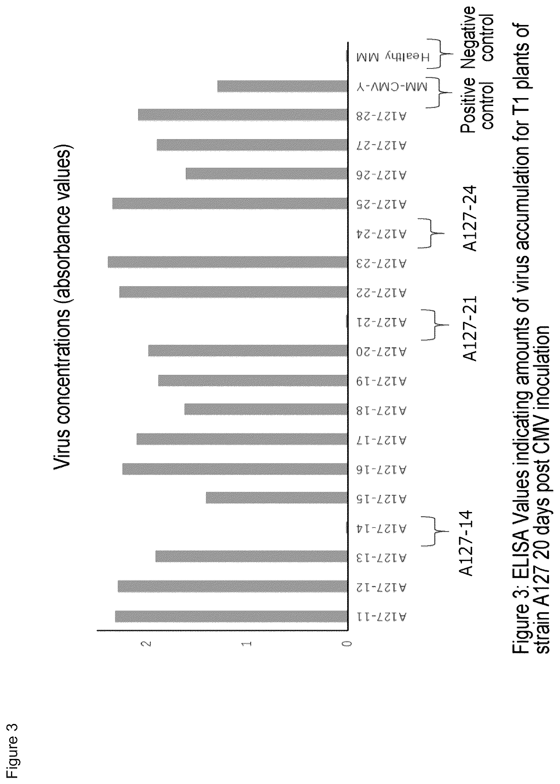 Patent US11814639 Figure 3 – Virus-resistant plant and method for producing the same