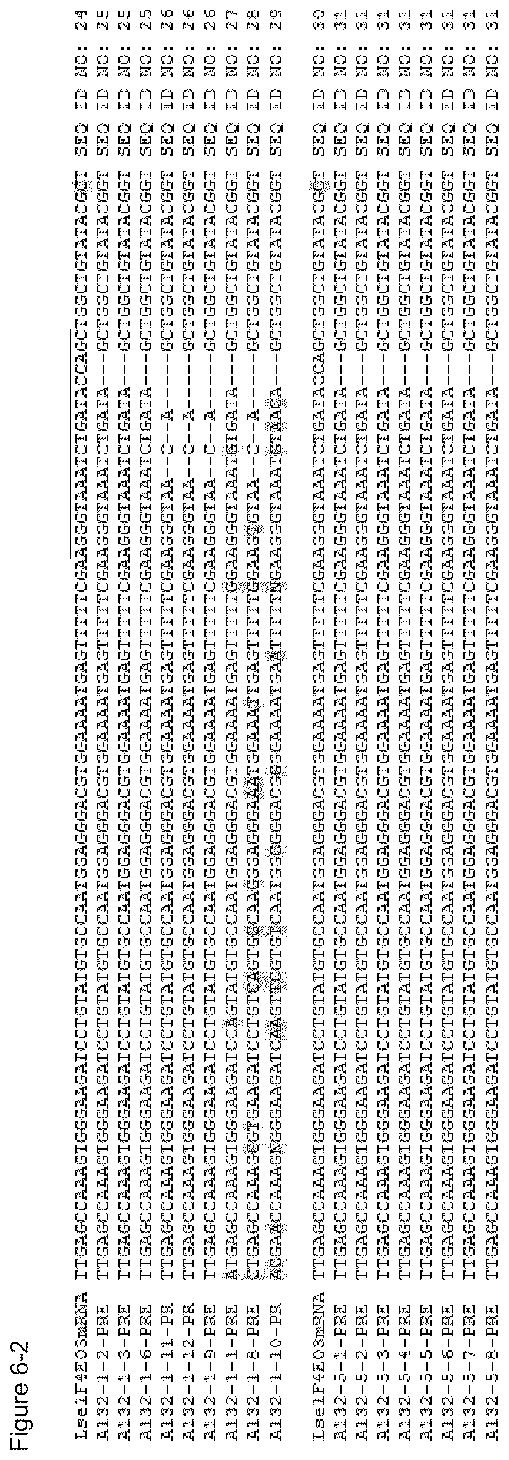 Patent US11814639 Figure 7 – Virus-resistant plant and method for producing the same
