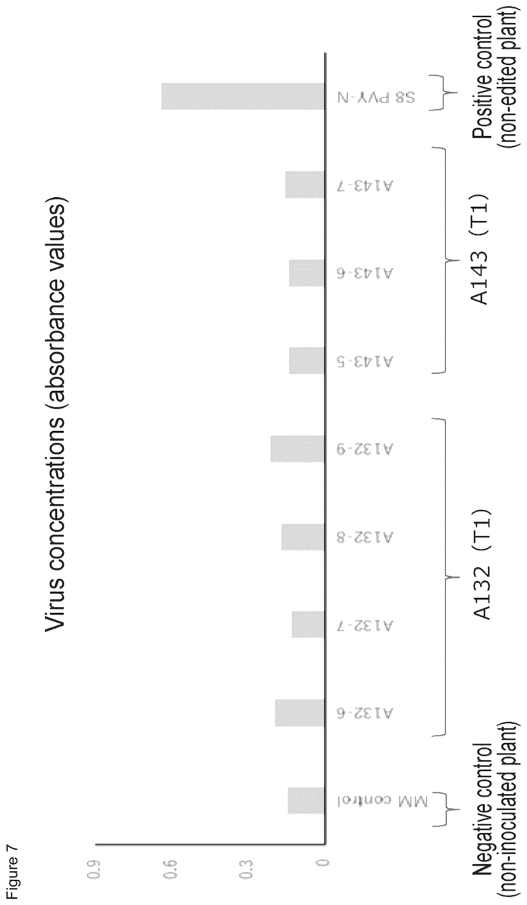 Patent US11814639 Figure 8 – Virus-resistant plant and method for producing the same