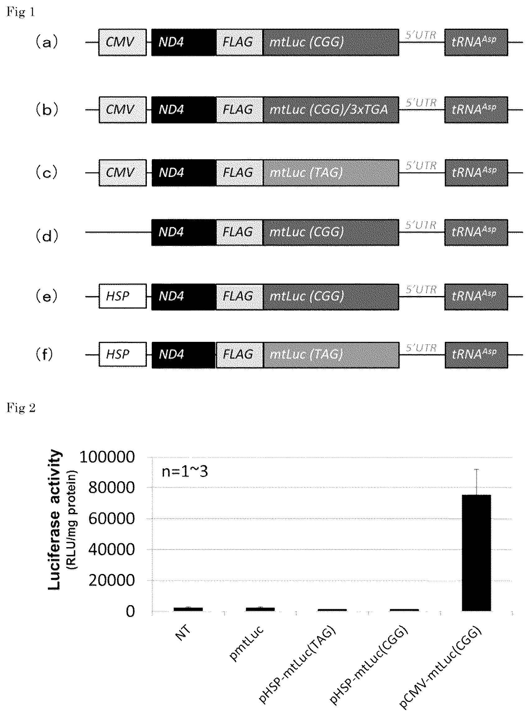 Patent US11814640 Figure 1 – Recombinant expression vector and lipid membrane structure having said vector encapsulated therein