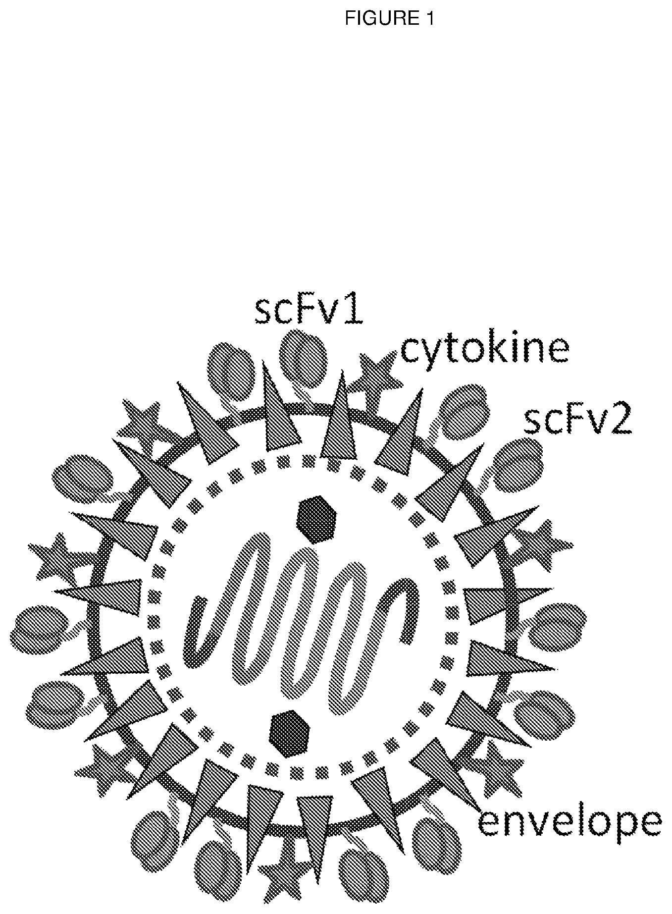 Patent US11814641 Figure 1 – Retroviral and lentiviral vectors