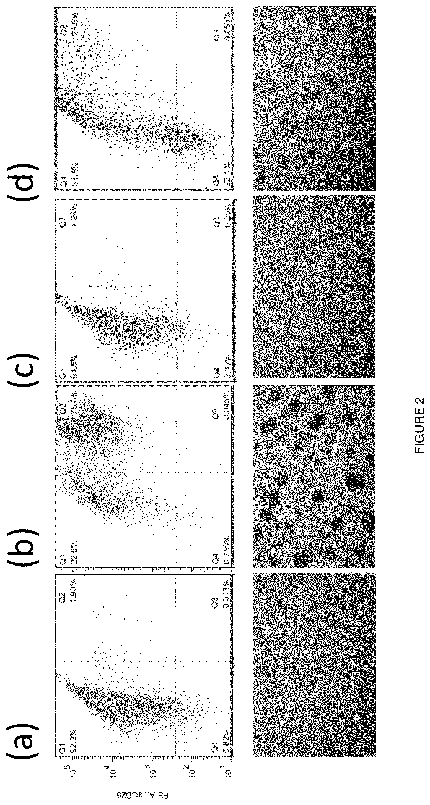 Patent US11814641 Figure 2 – Retroviral and lentiviral vectors