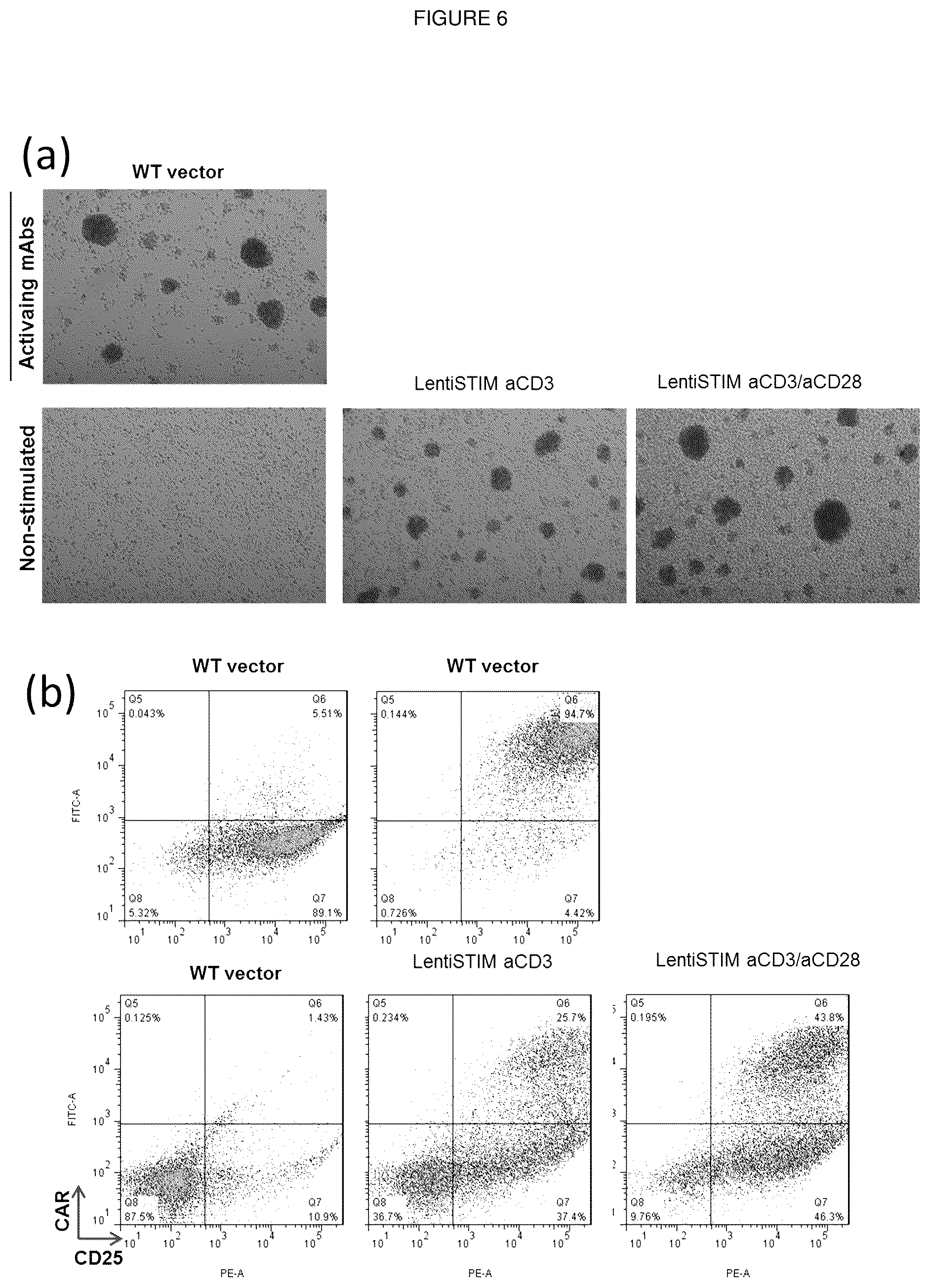 Patent US11814641 Figure 6 – Retroviral and lentiviral vectors
