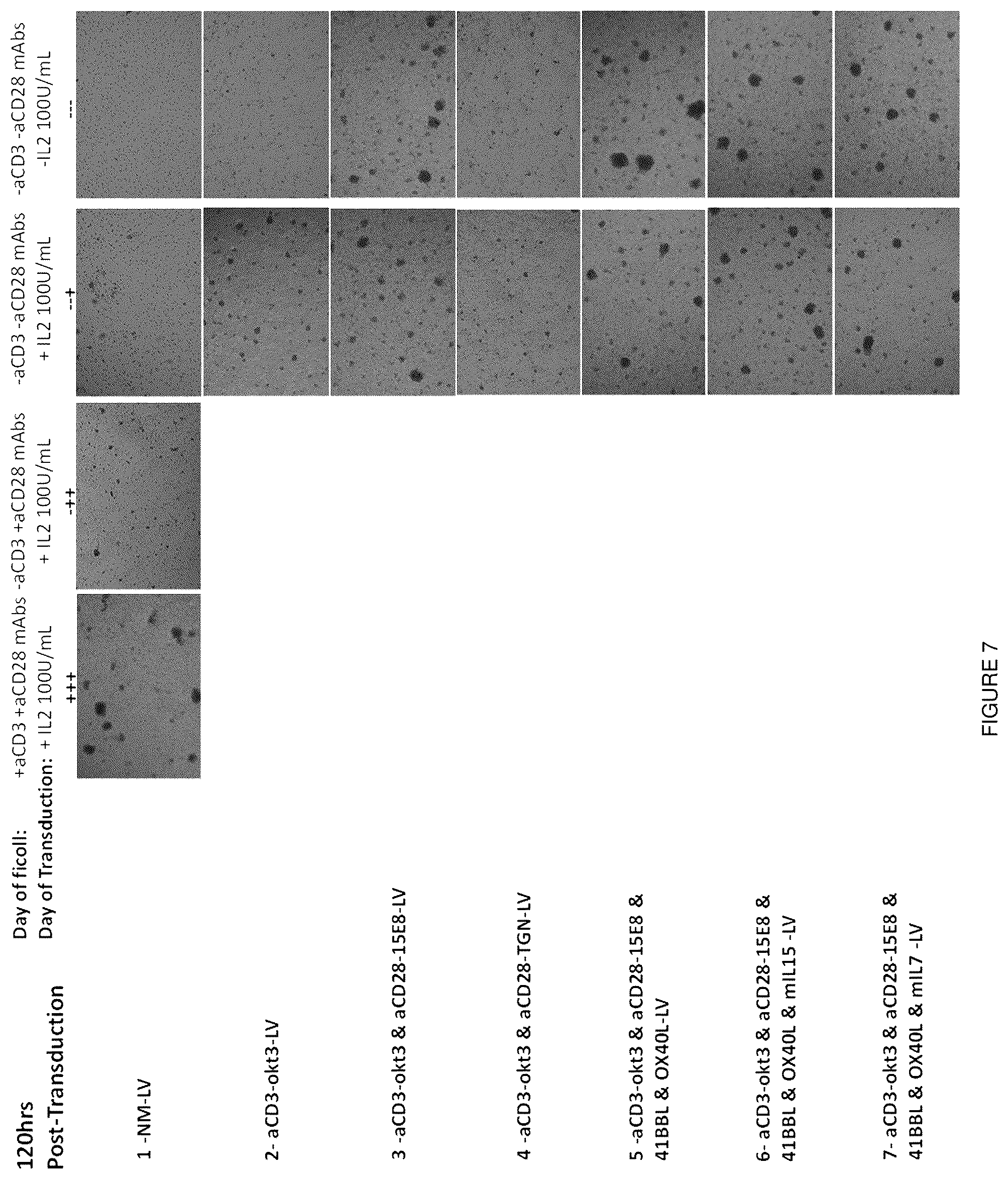 Patent US11814641 Figure 7 – Retroviral and lentiviral vectors