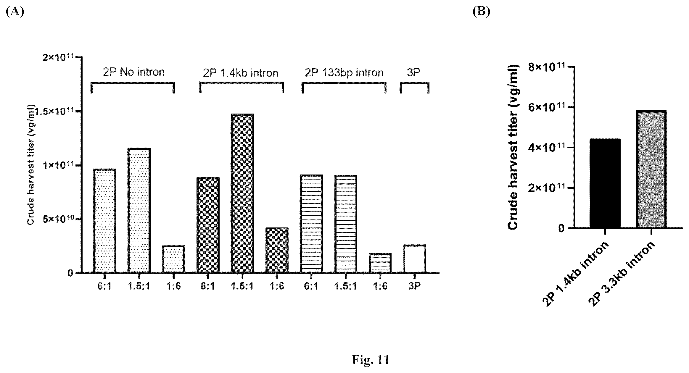 Patent US11814642 Figure 12 – Manufacturing and use of recombinant AAV vectors