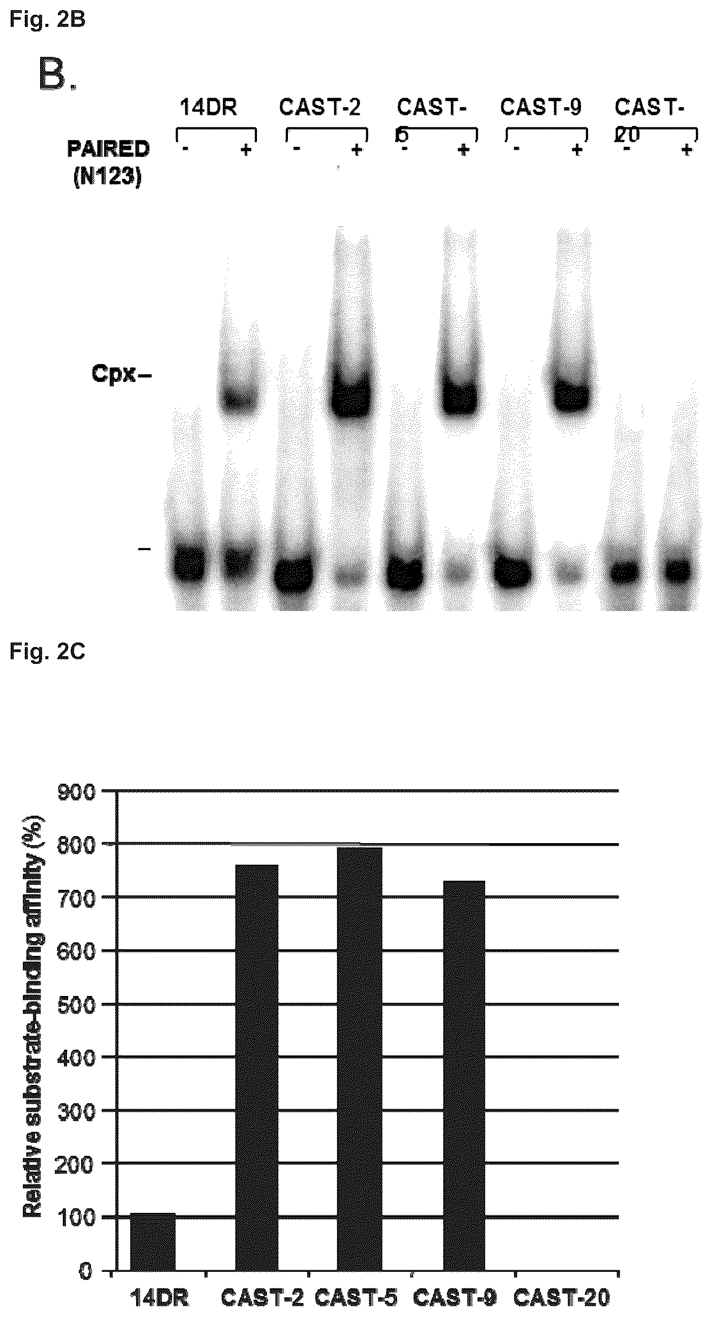 Patent US11814643 Figure 2 – Enhanced sleeping beauty transposons, kits and methods of transposition