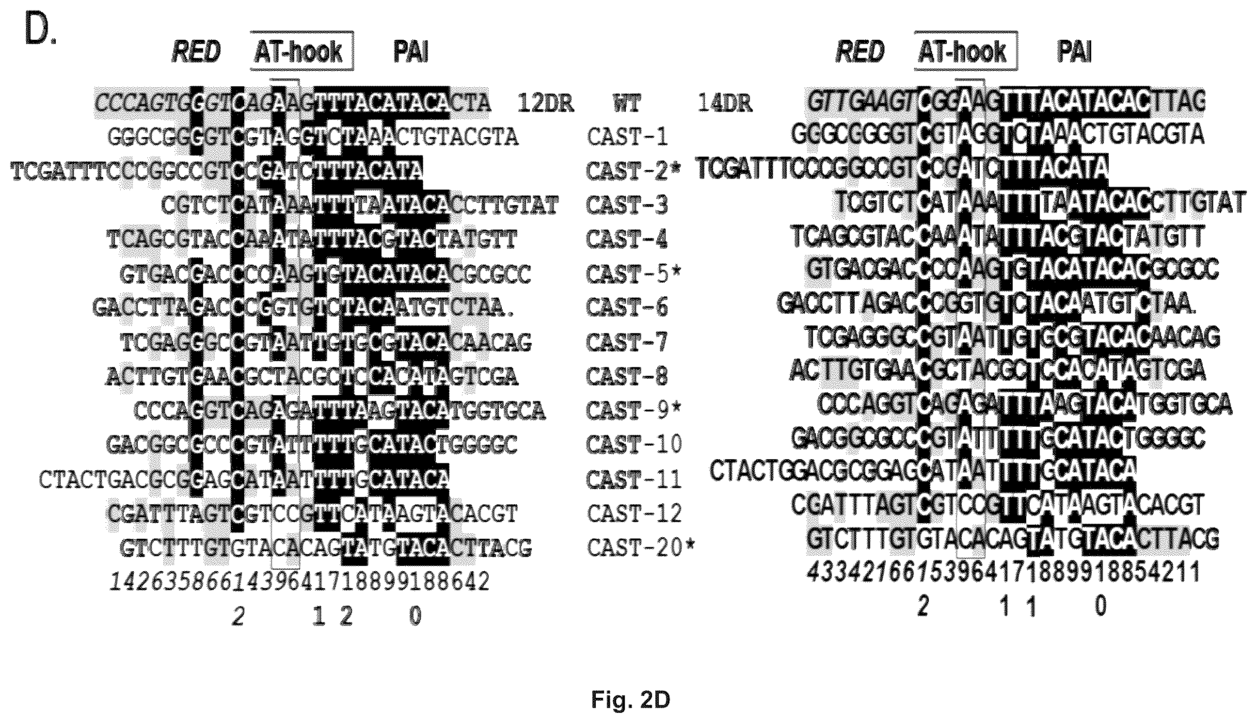 Patent US11814643 Figure 3 – Enhanced sleeping beauty transposons, kits and methods of transposition