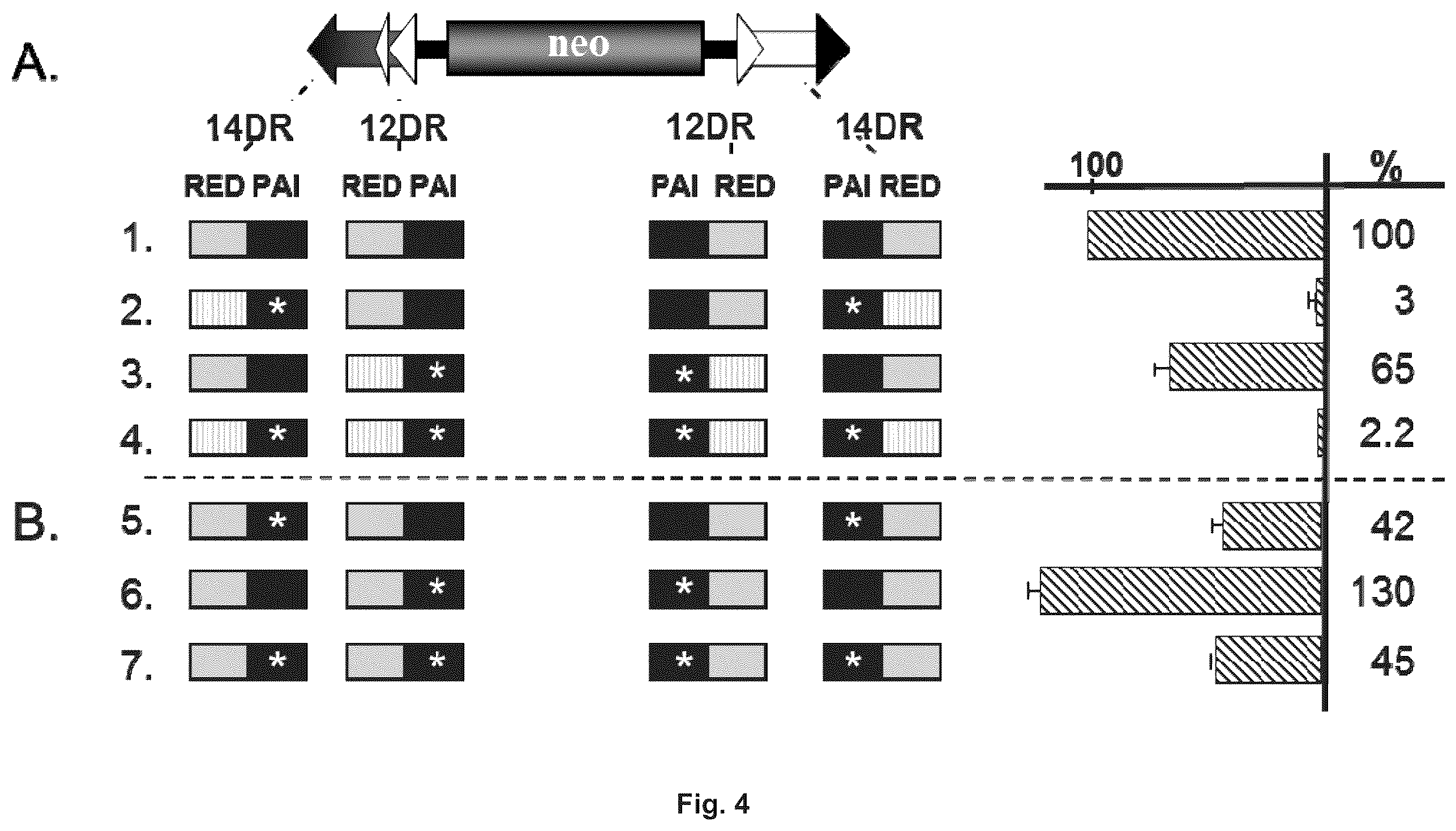 Patent US11814643 Figure 6 – Enhanced sleeping beauty transposons, kits and methods of transposition