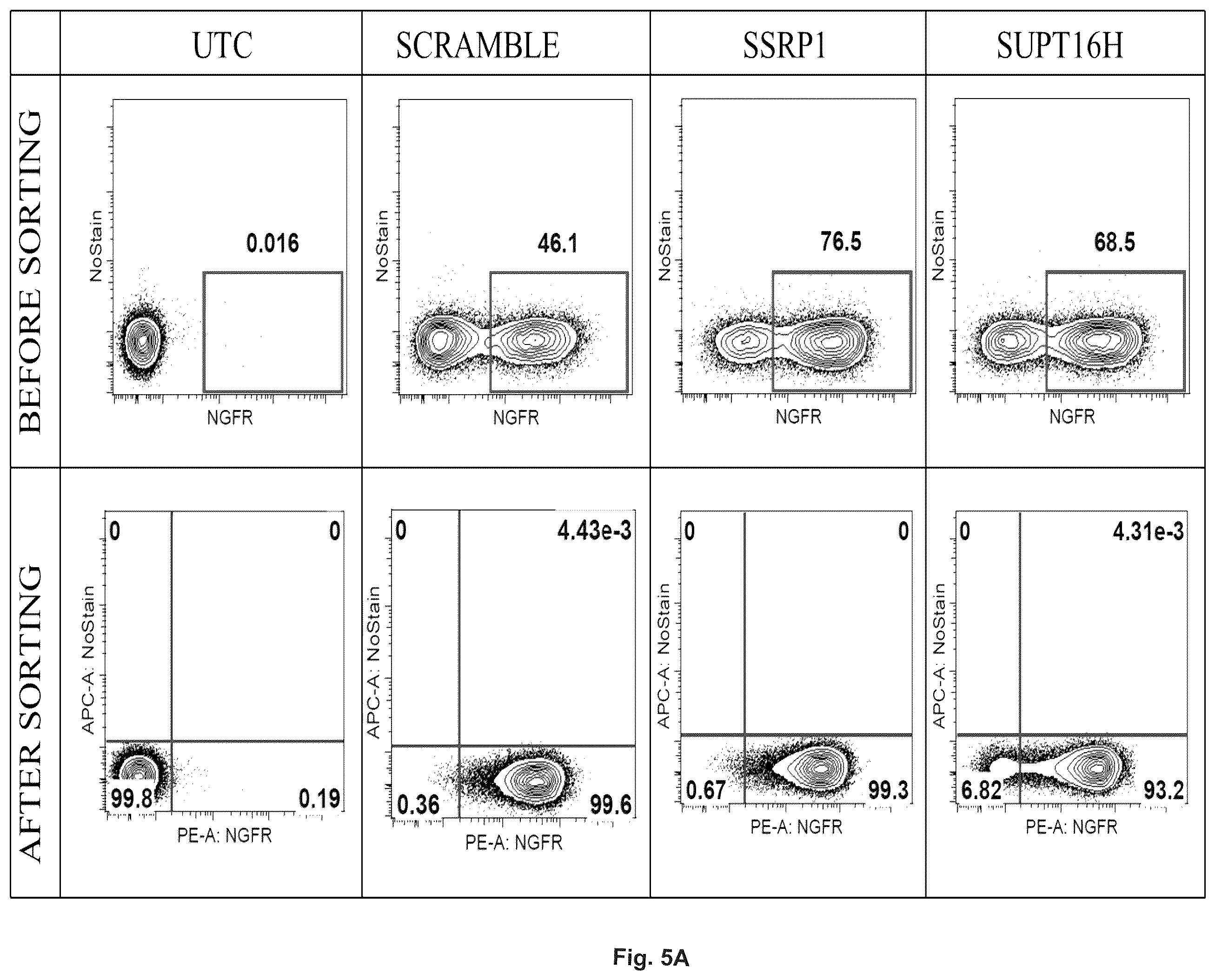 Patent US11814643 Figure 7 – Enhanced sleeping beauty transposons, kits and methods of transposition