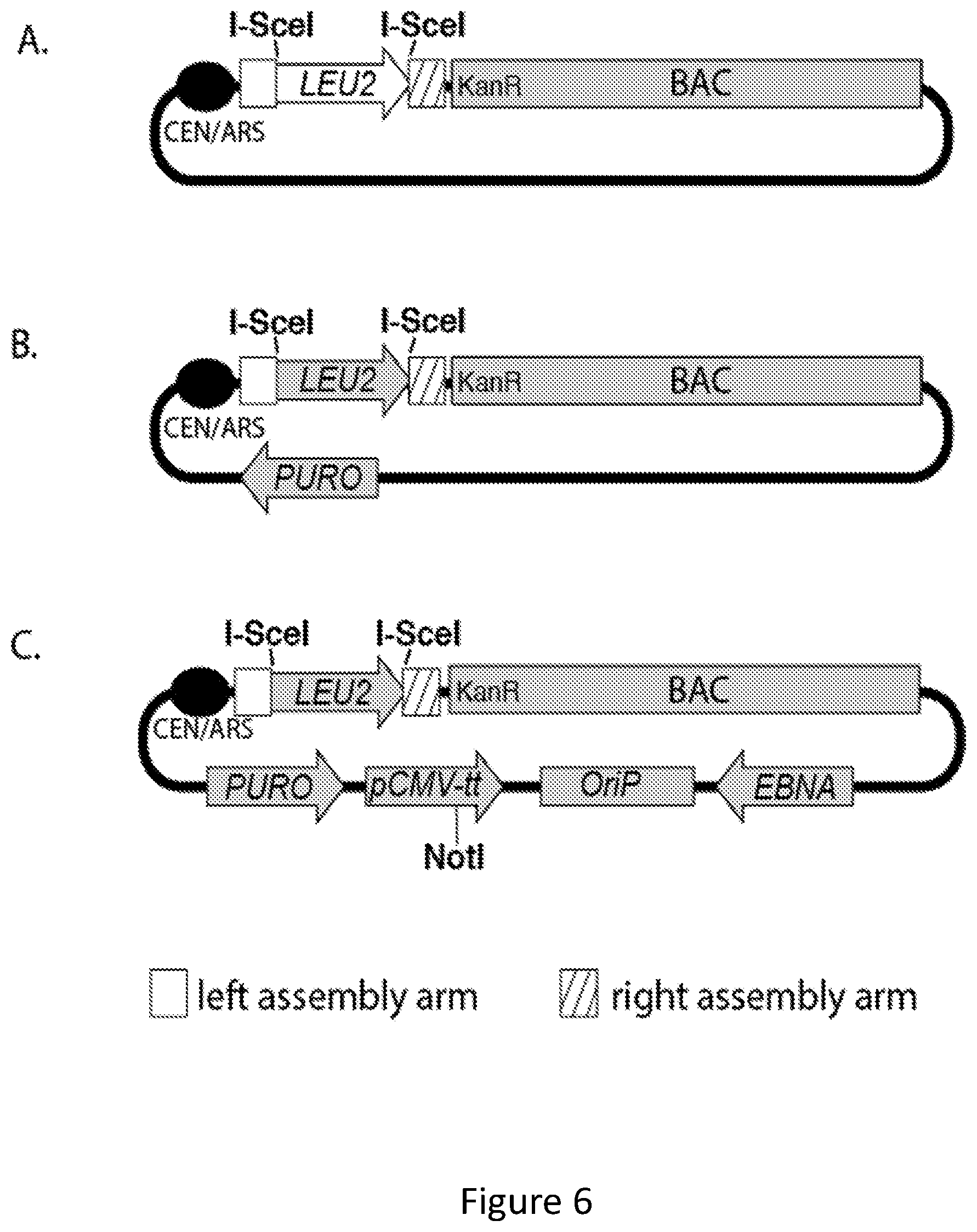 Patent US11814644 Figure 11 – Extrachromosomal switching auxotrophies progressively by integration (eSwAP-In) for assembly of DNA sequences in yeast