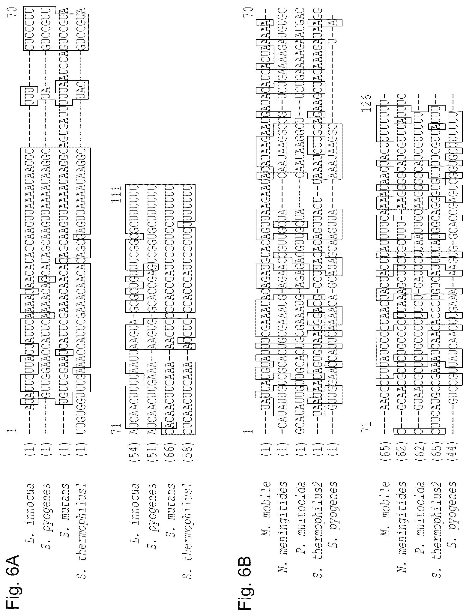 Patent US11814645 Figure 7 – Methods and compositions for RNA-directed target DNA modification and for RNA-directed modulation of transcription